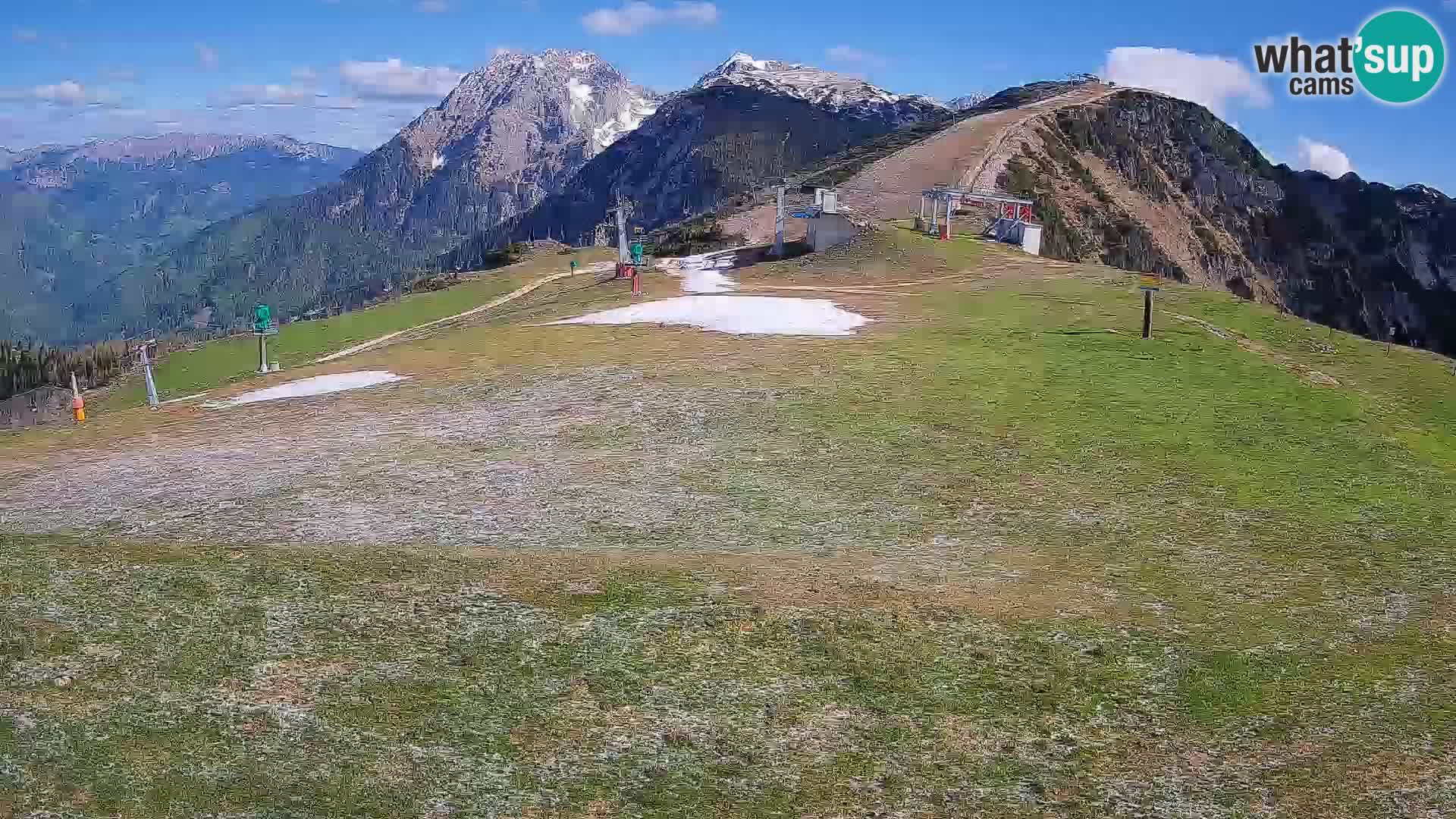 Krvavec livecam