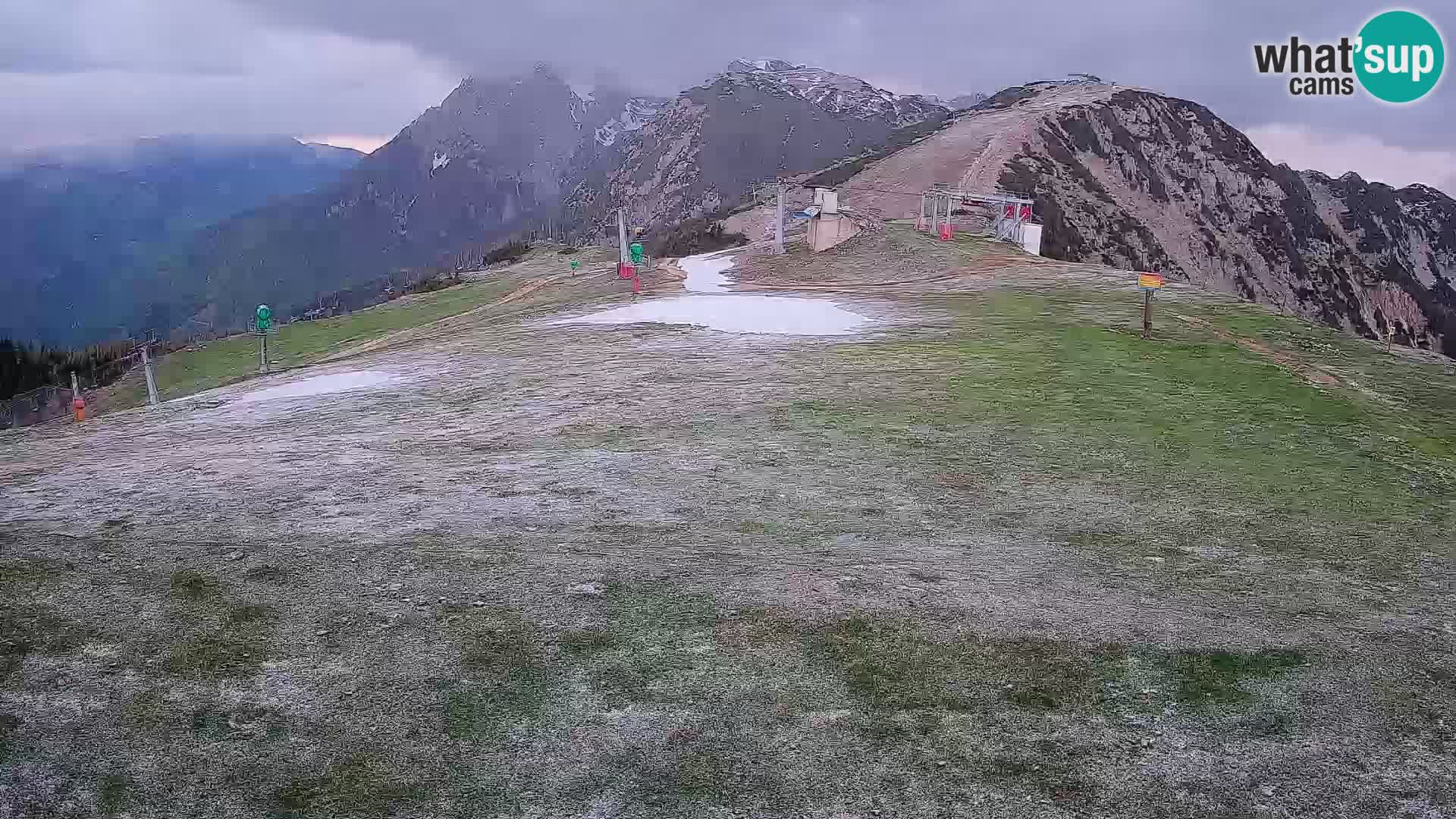 Krvavec livecam