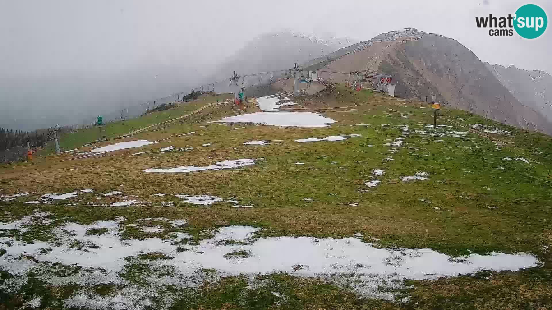 Krvavec livecam