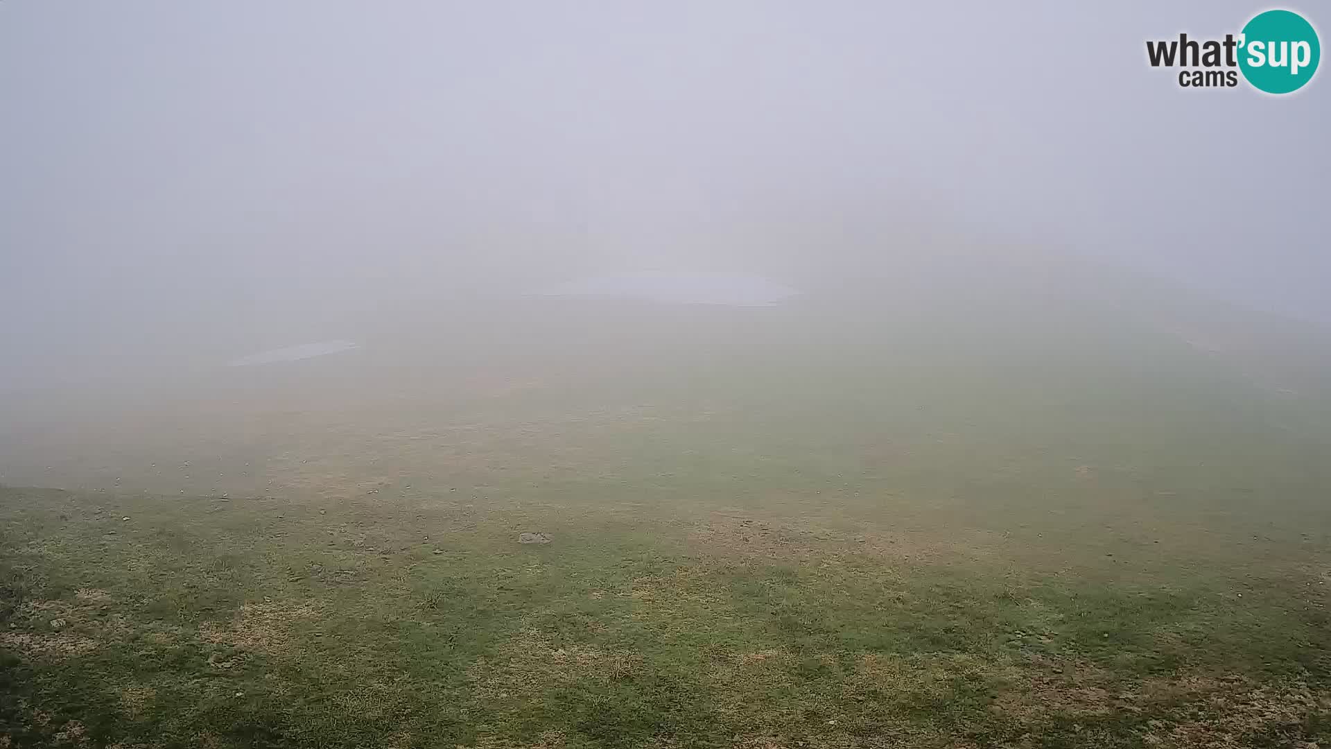 Krvavec livecam