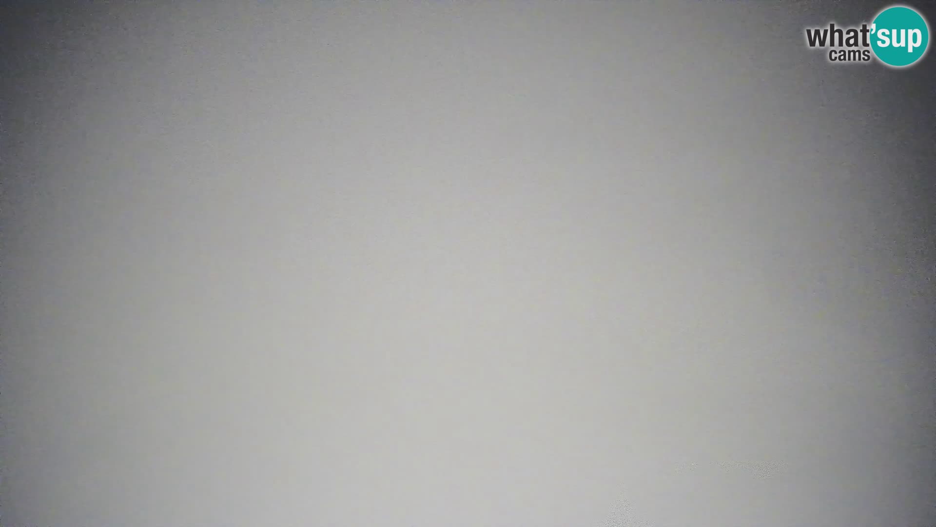 Krvavec livecam