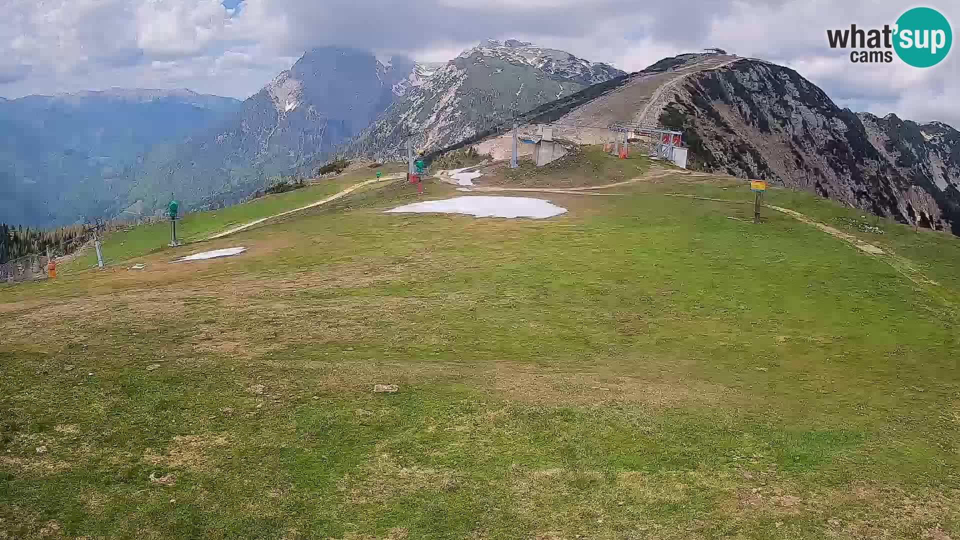Krvavec livecam