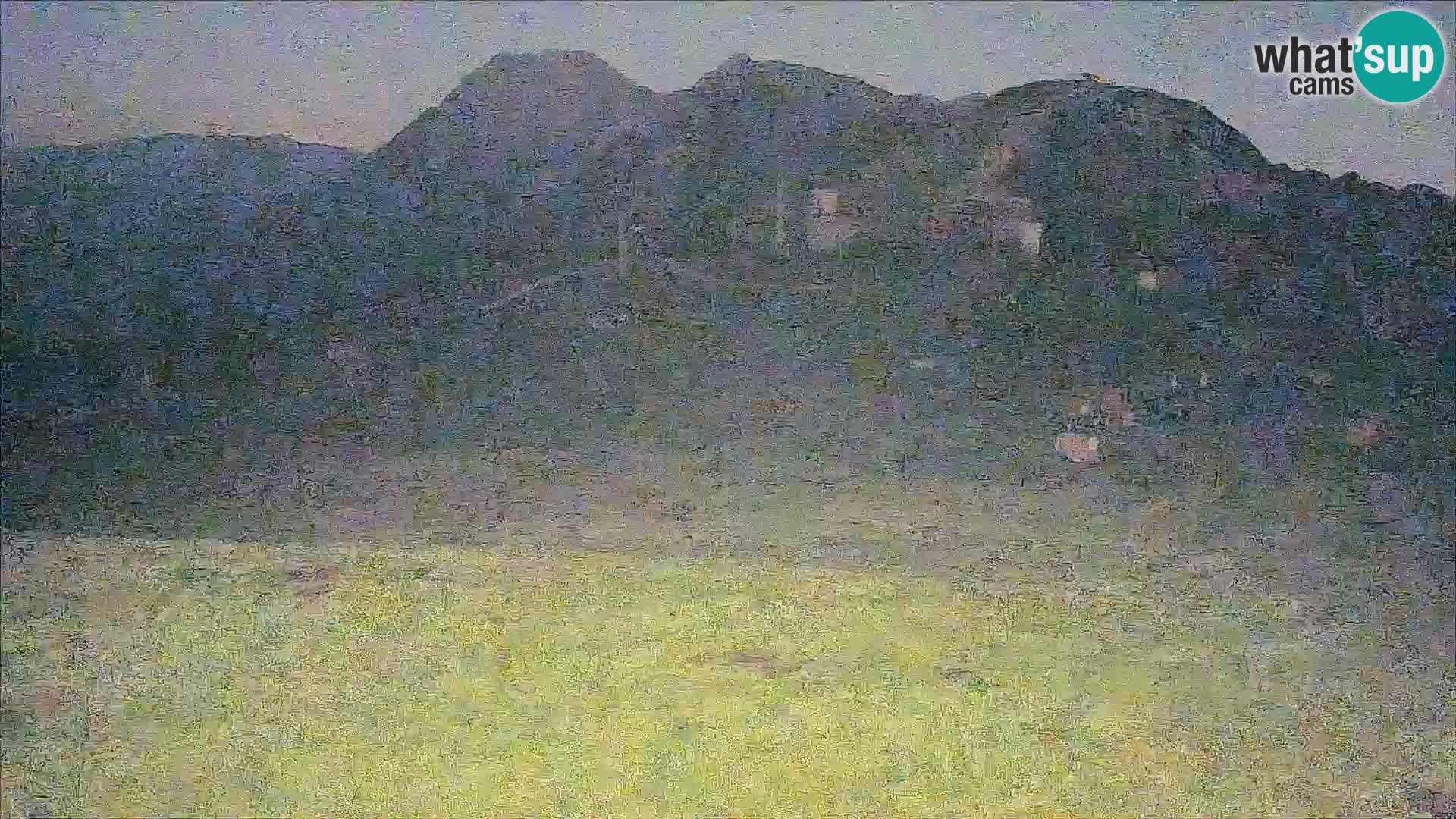 Krvavec livecam