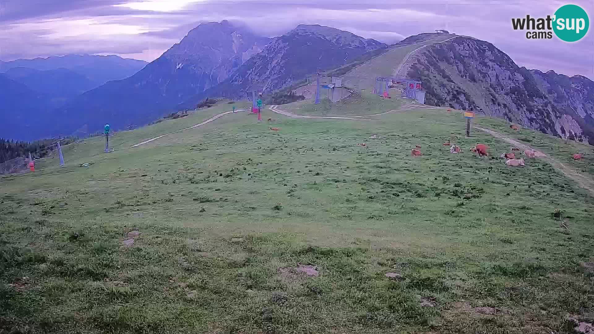 Krvavec livecam