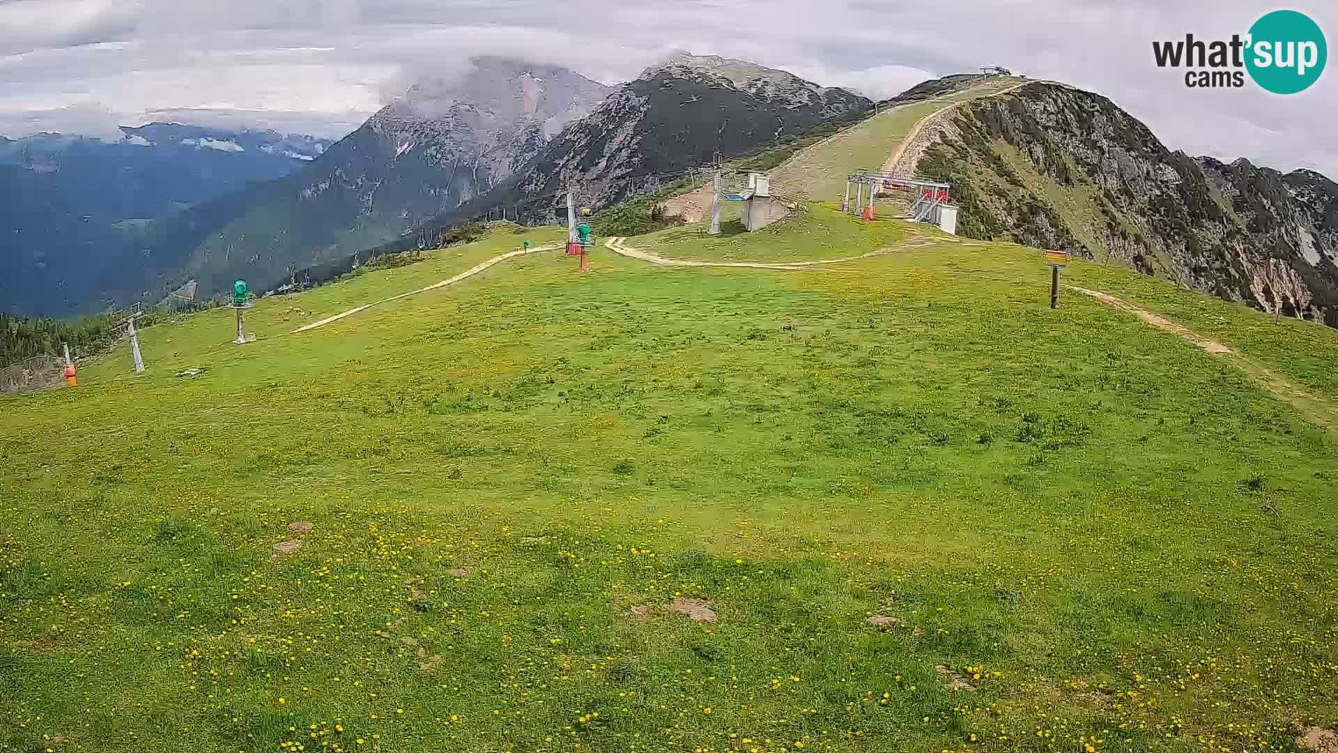 Krvavec livecam