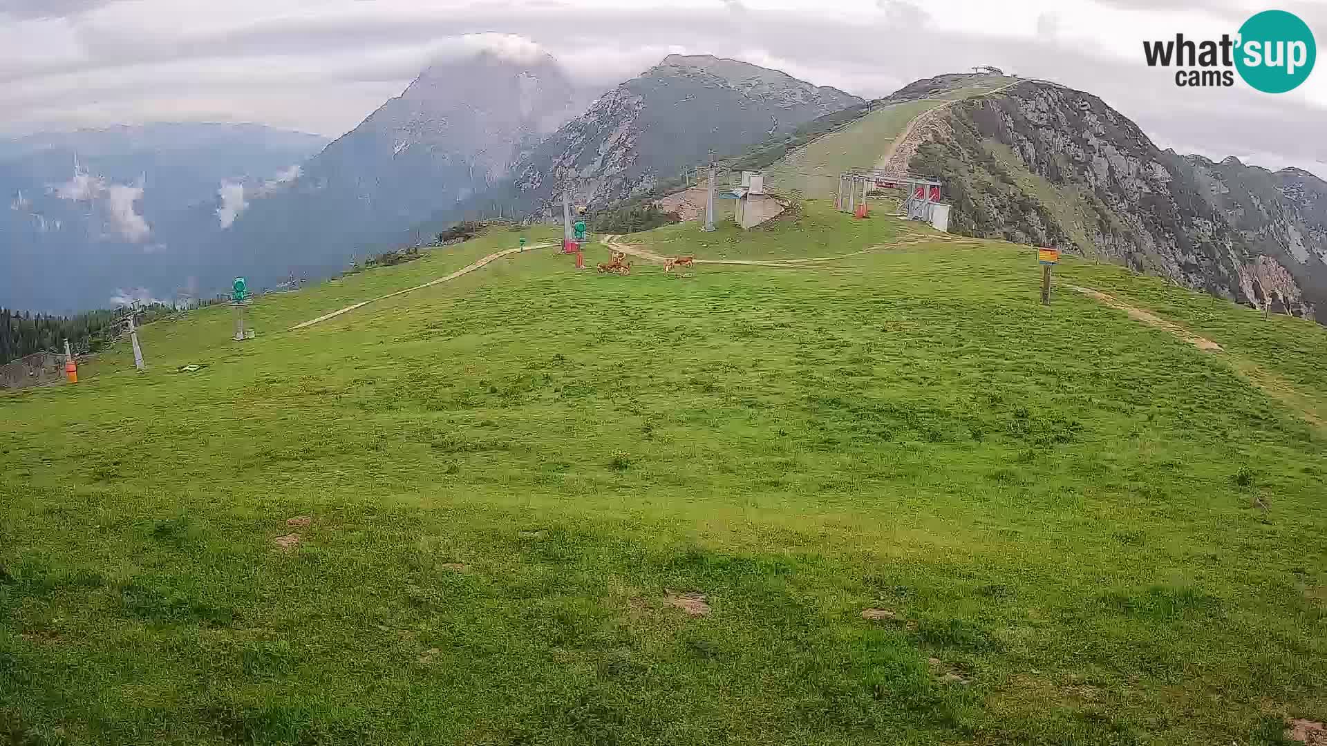 webcam Krvavec – top of the mountain