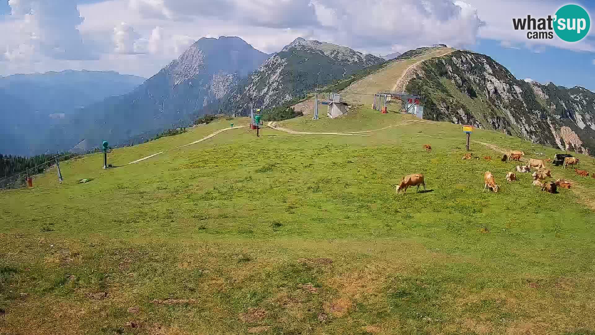 Krvavec livecam