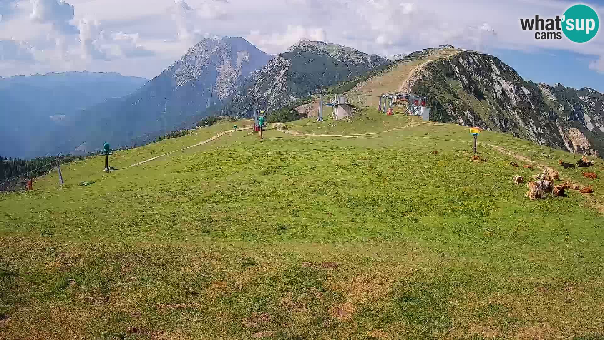 Krvavec livecam