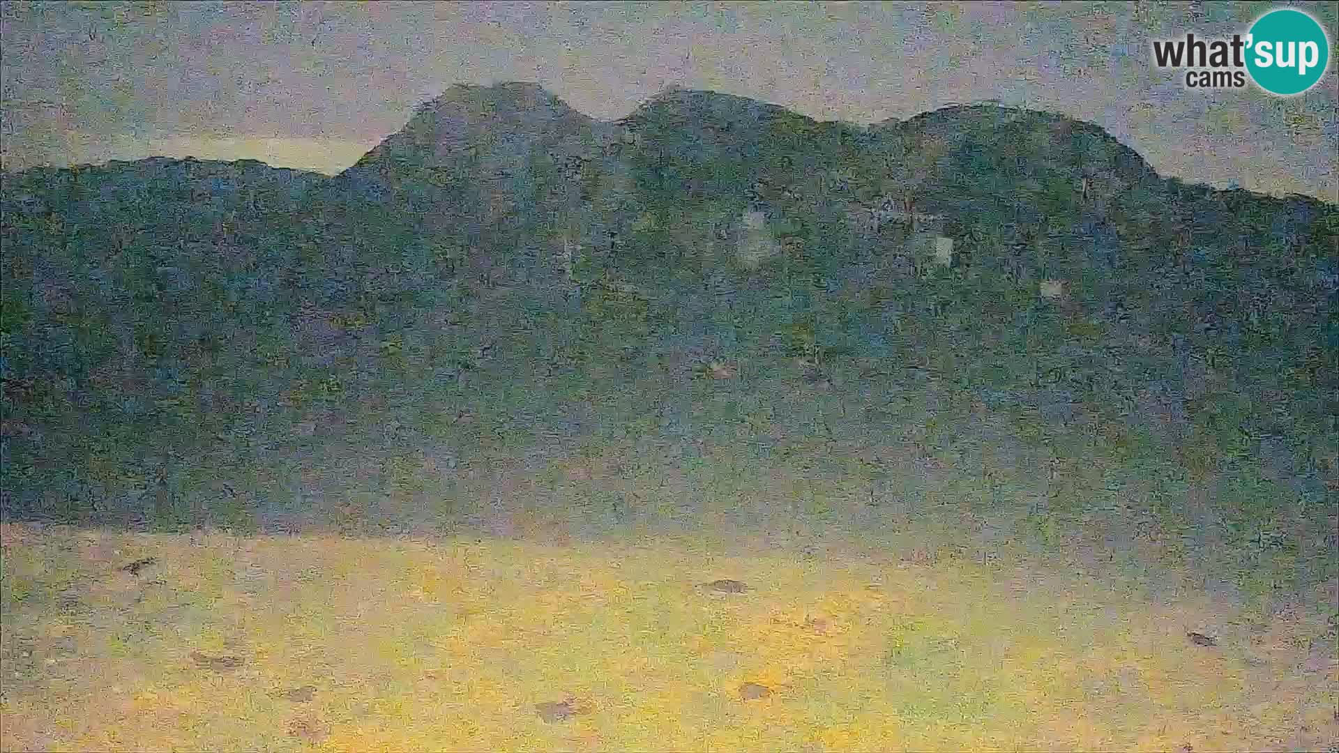 Krvavec livecam