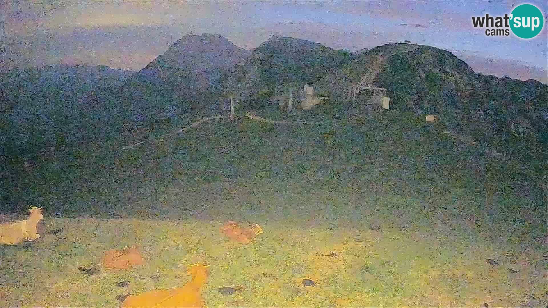 webcam Krvavec – top of the mountain