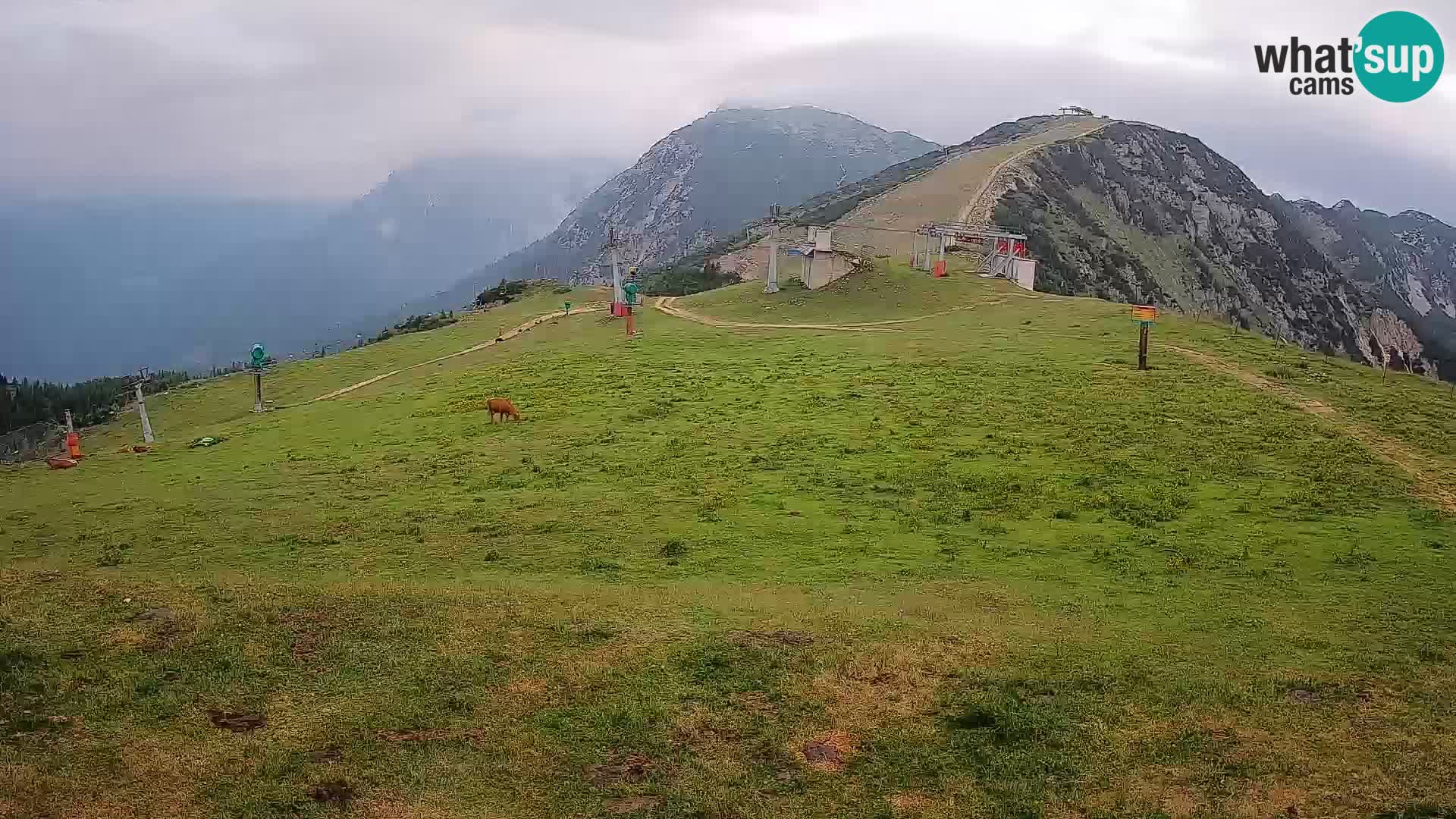 Krvavec livecam