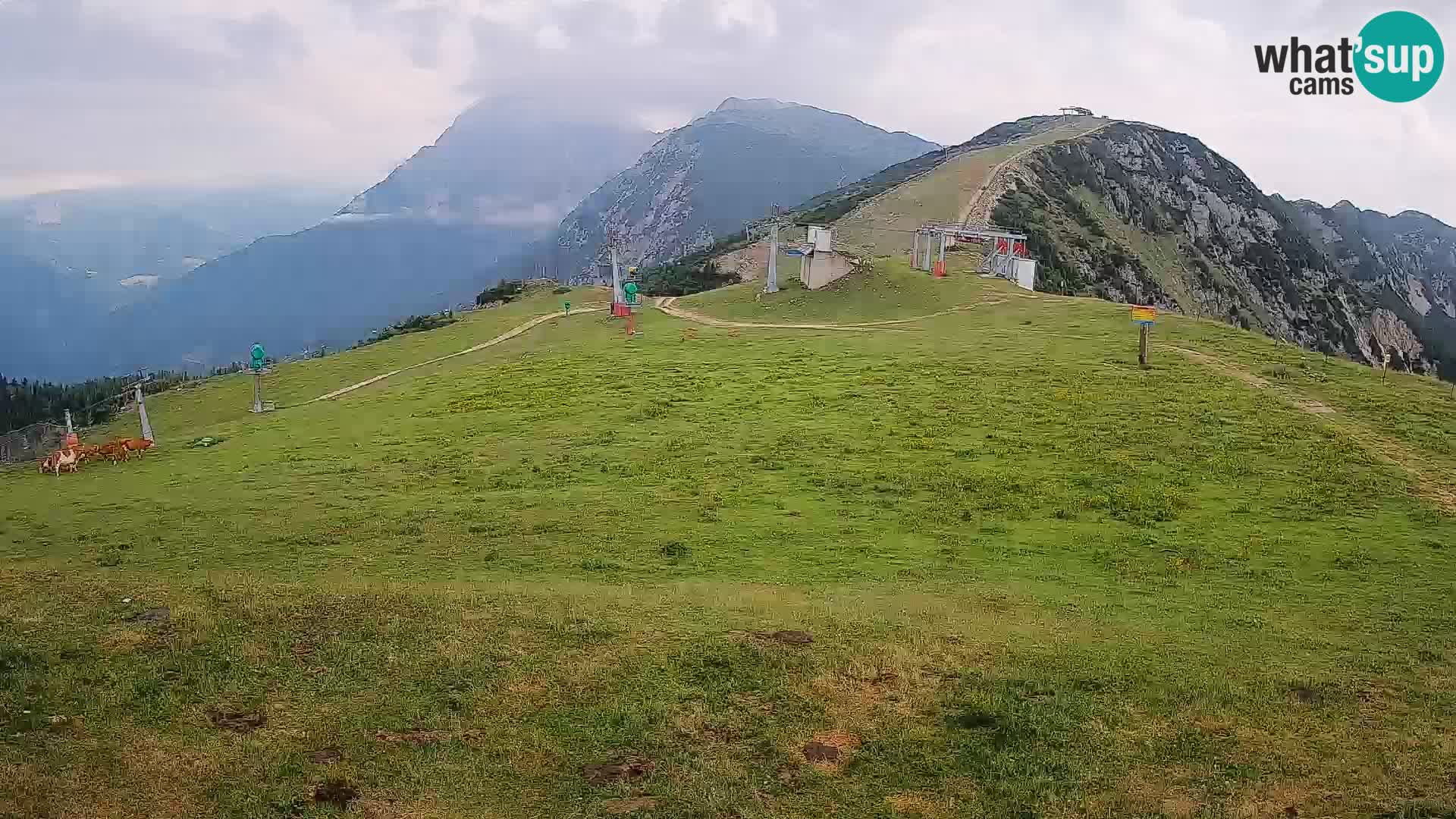 webcam Krvavec – top of the mountain