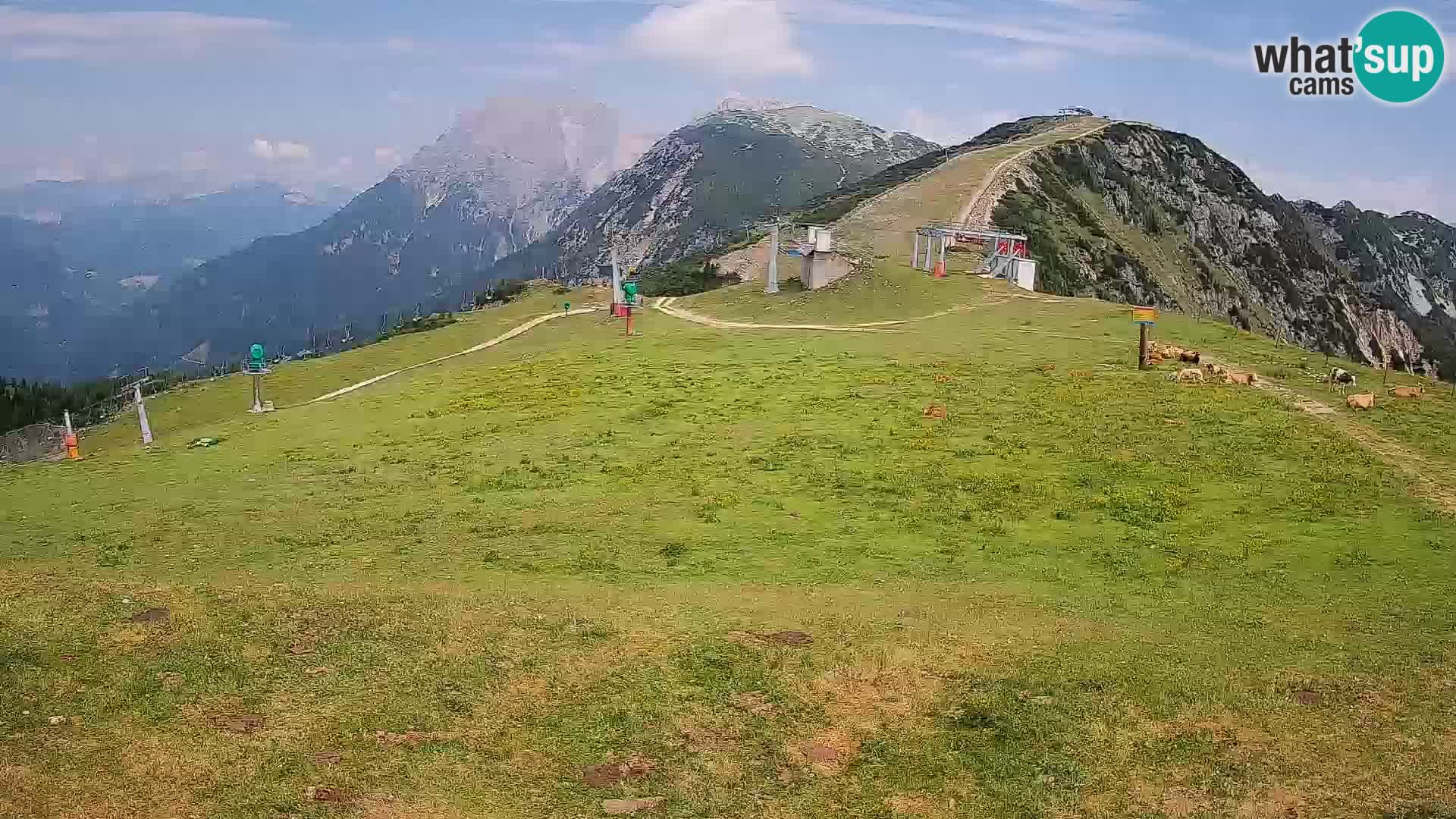 Krvavec livecam