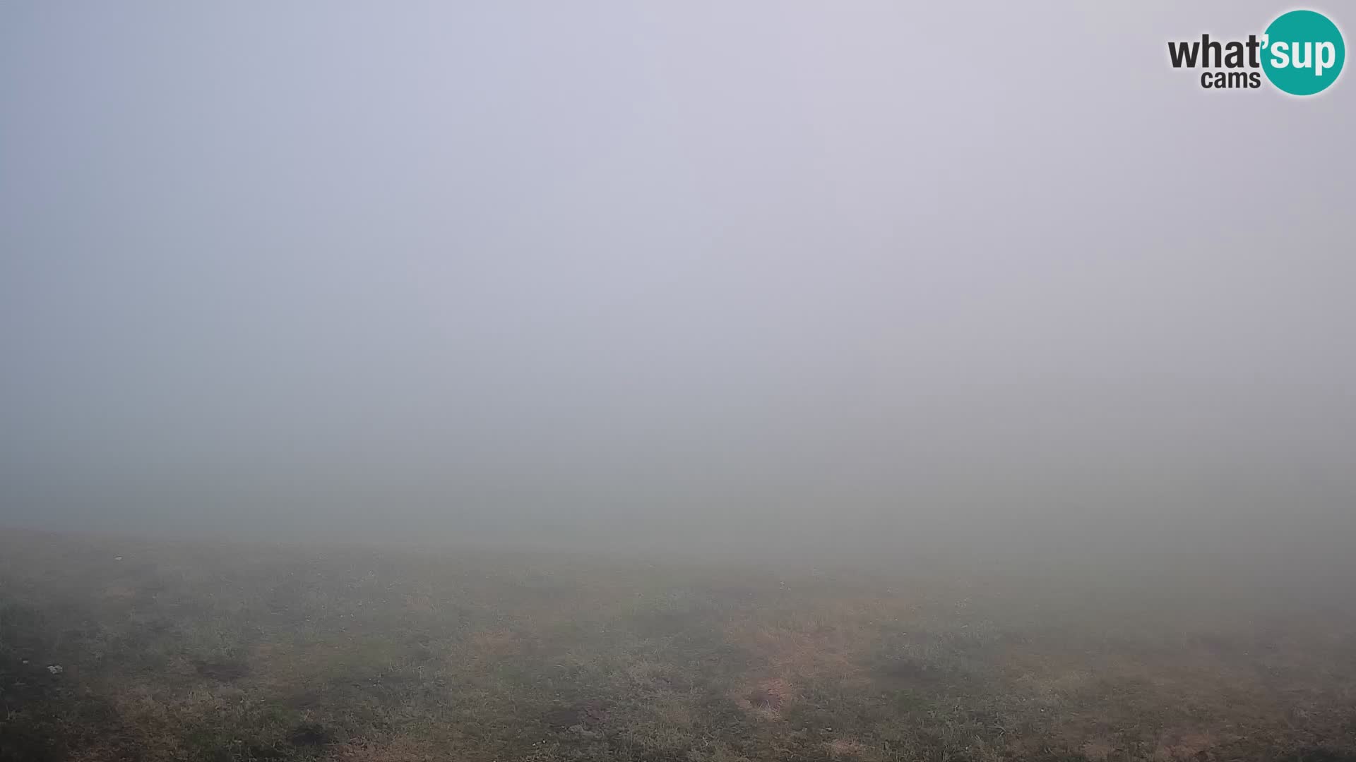 Krvavec livecam