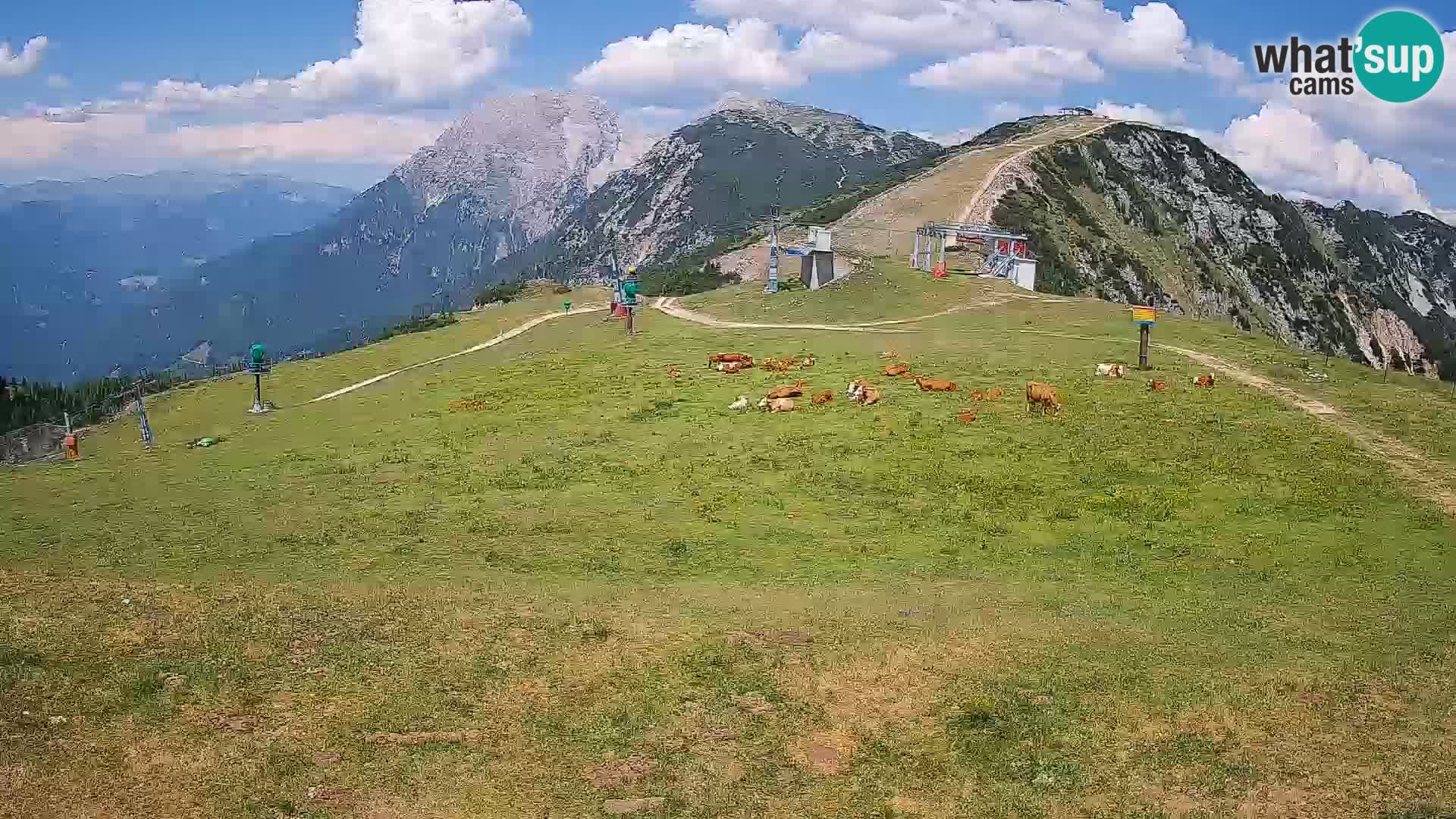 Krvavec livecam