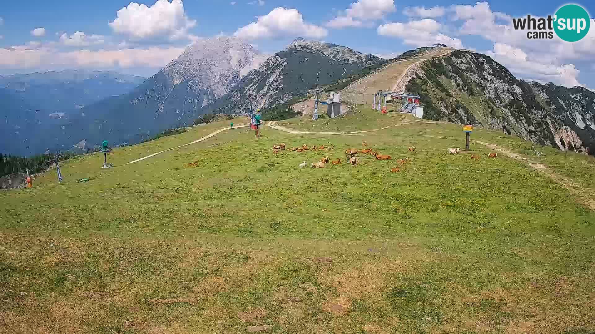 Krvavec livecam