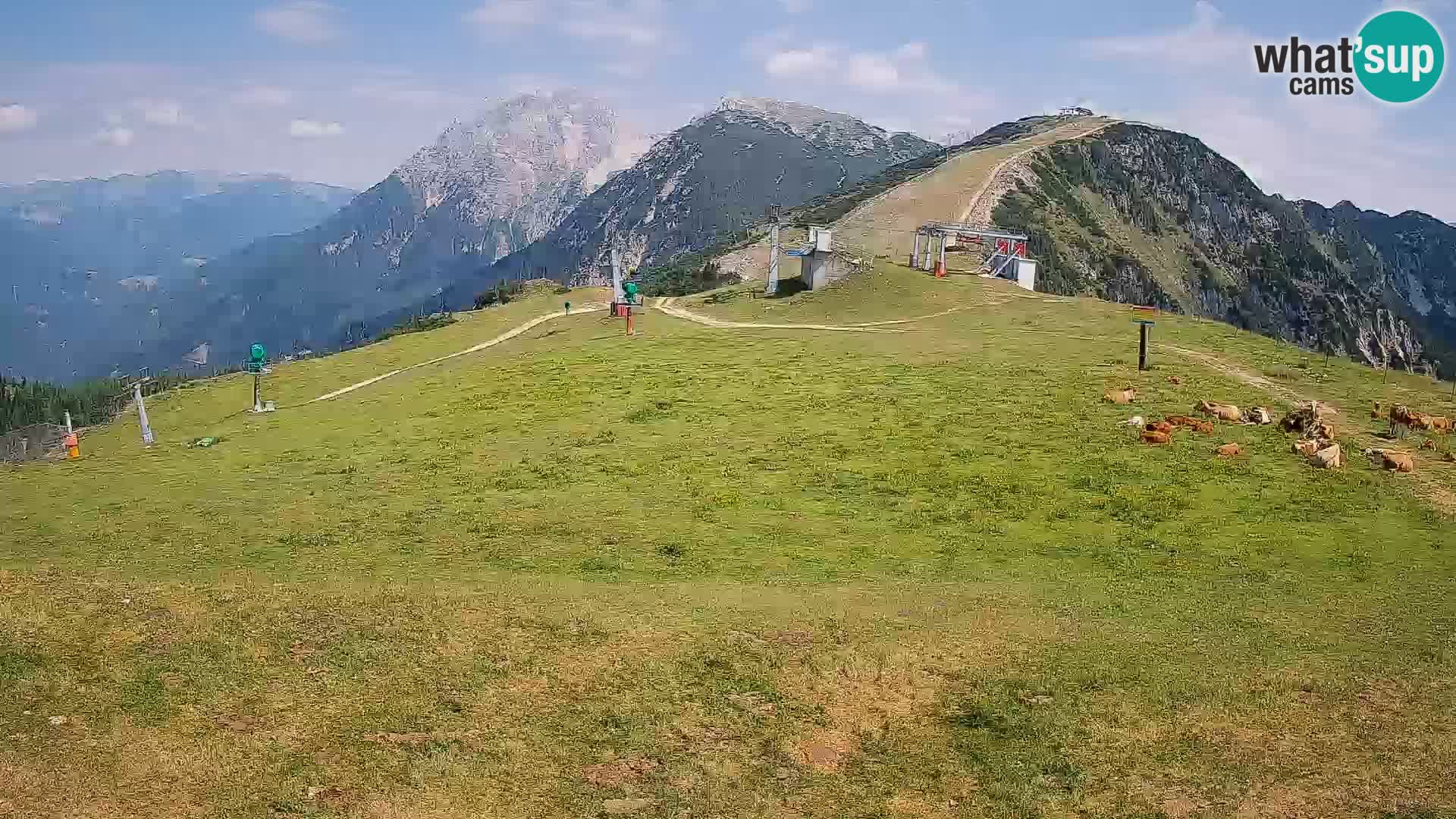 webcam Krvavec – top of the mountain