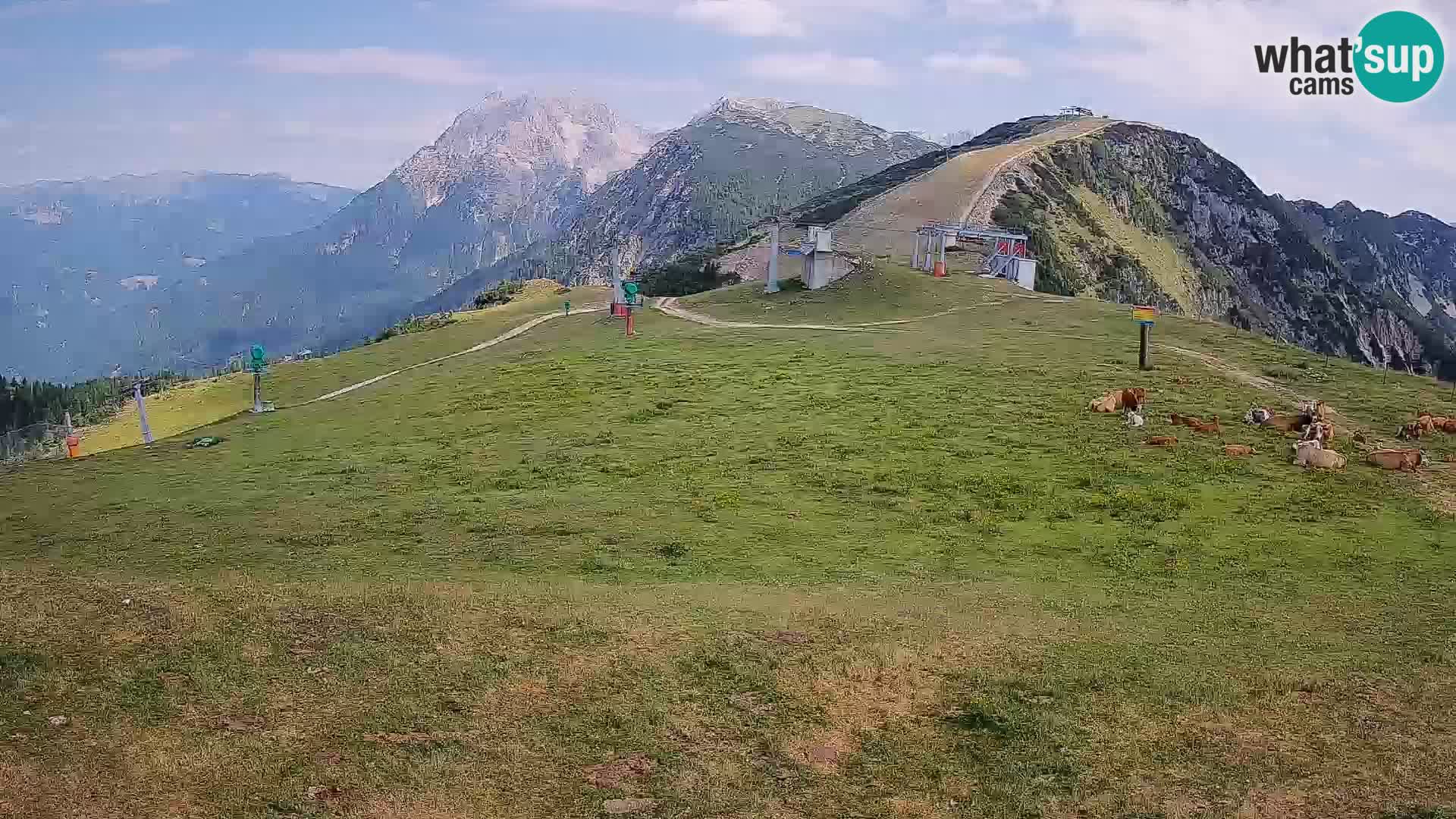 Krvavec livecam