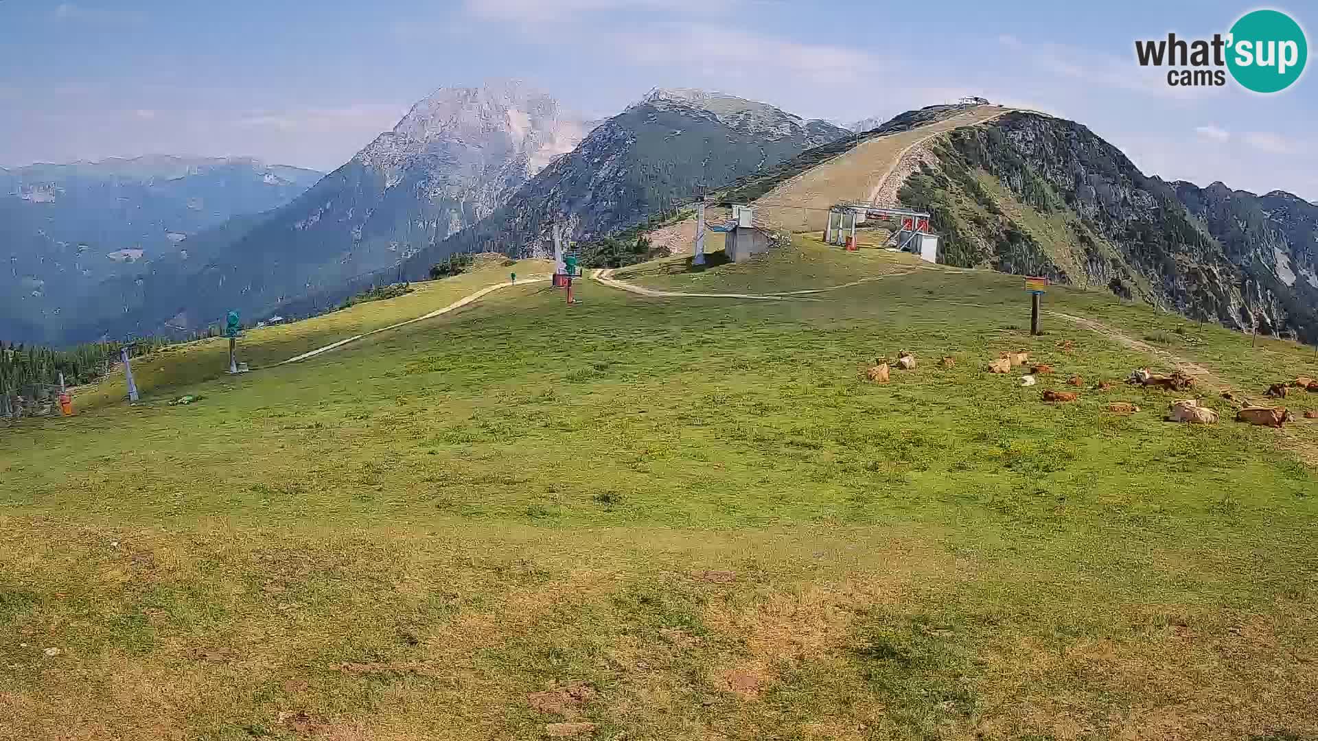 Krvavec livecam