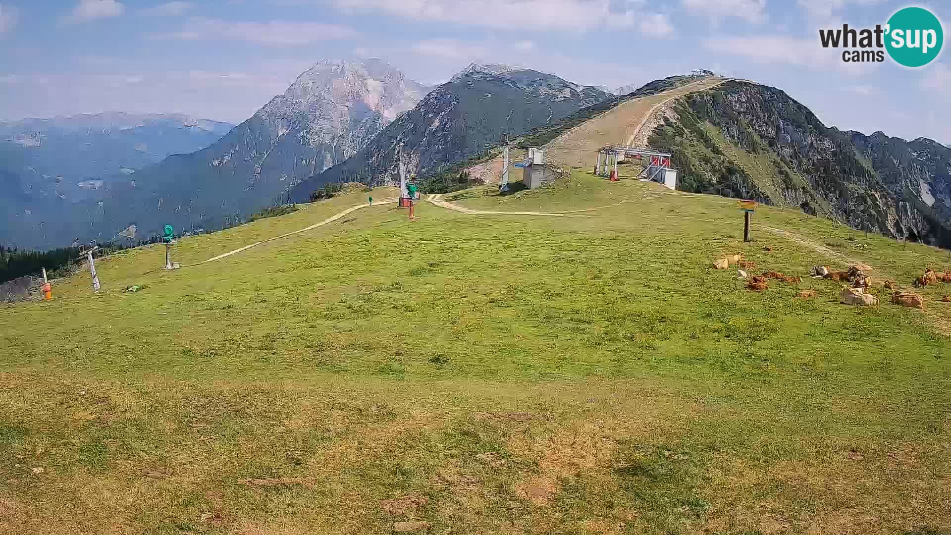 Krvavec livecam