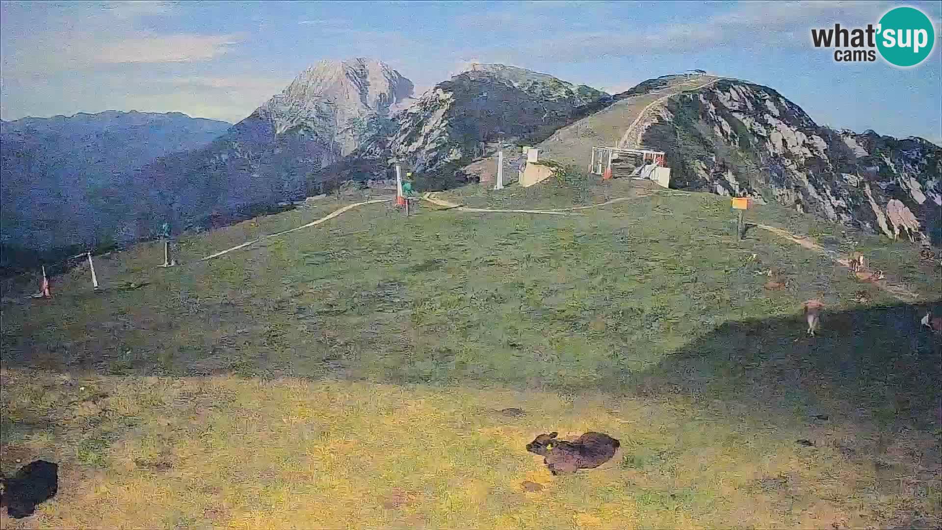 Krvavec livecam