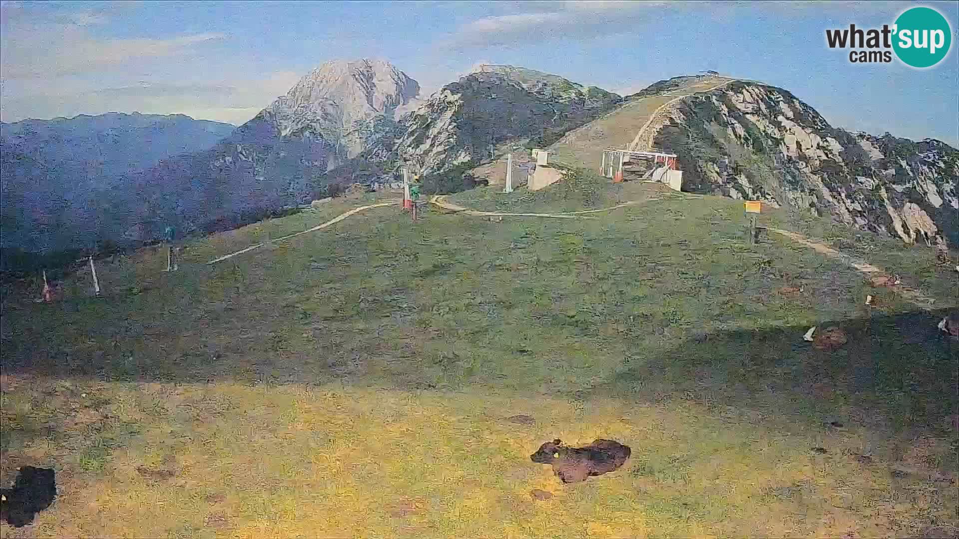 Krvavec livecam