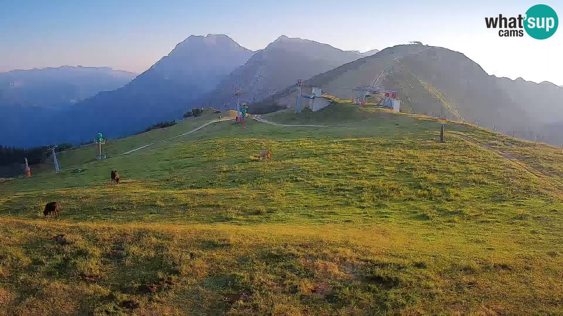 Krvavec livecam