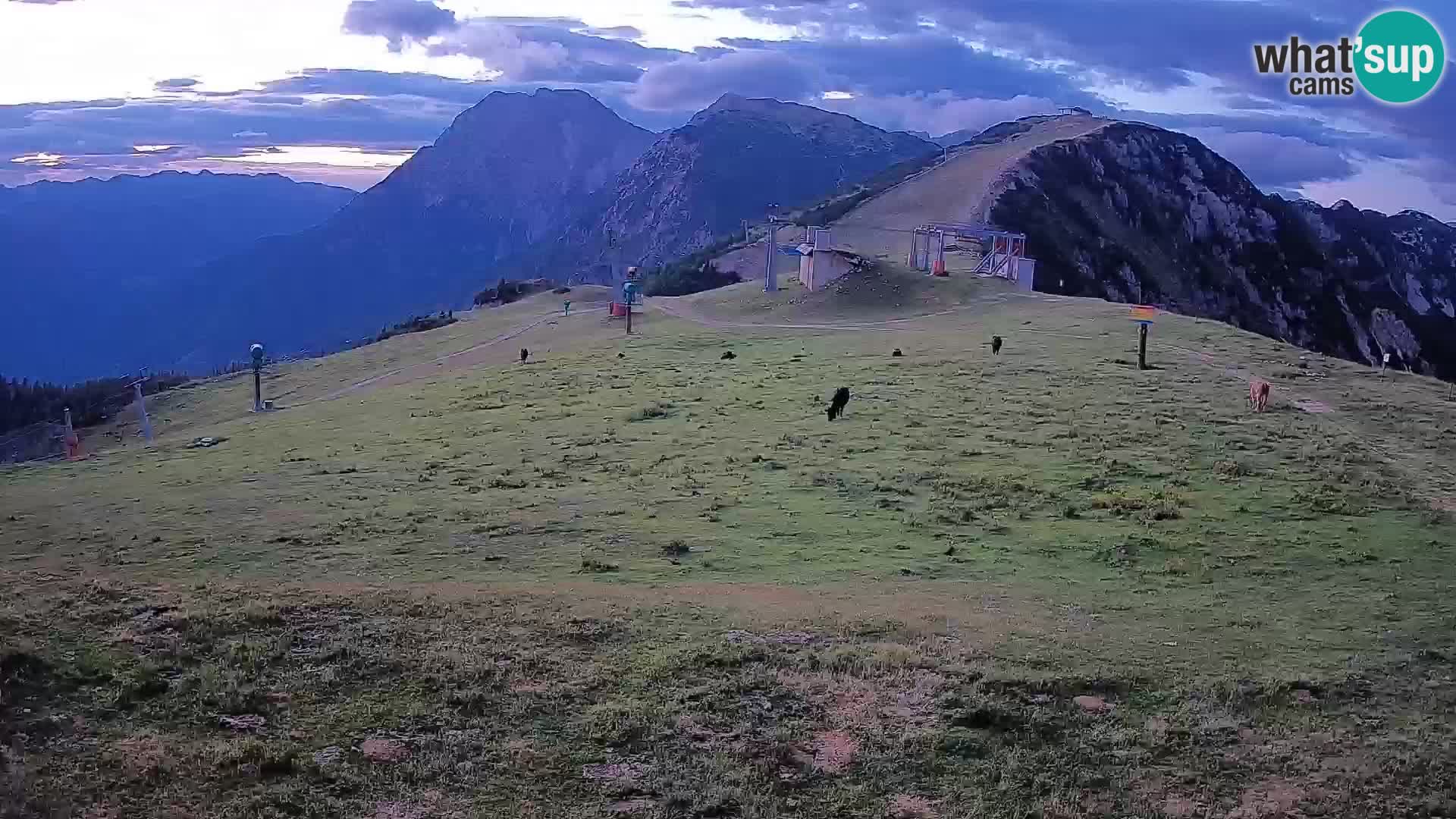 Krvavec livecam