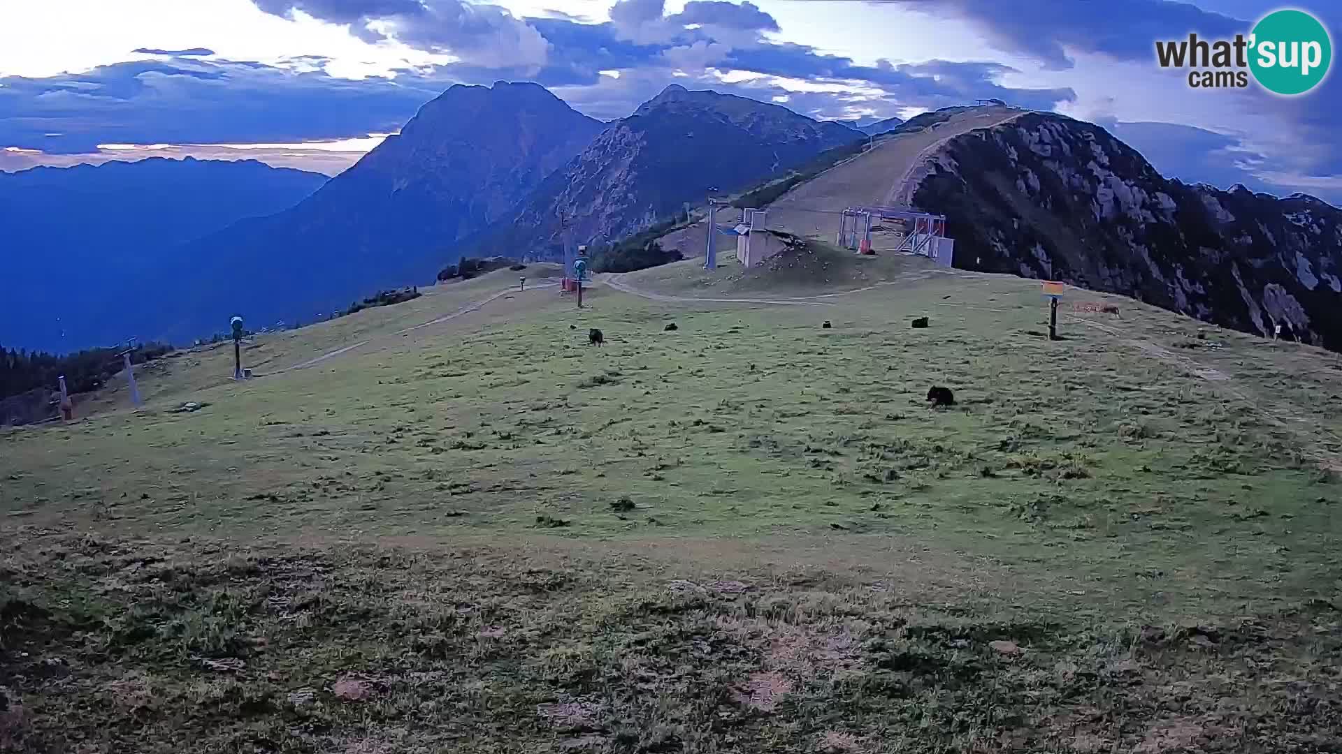 Krvavec livecam