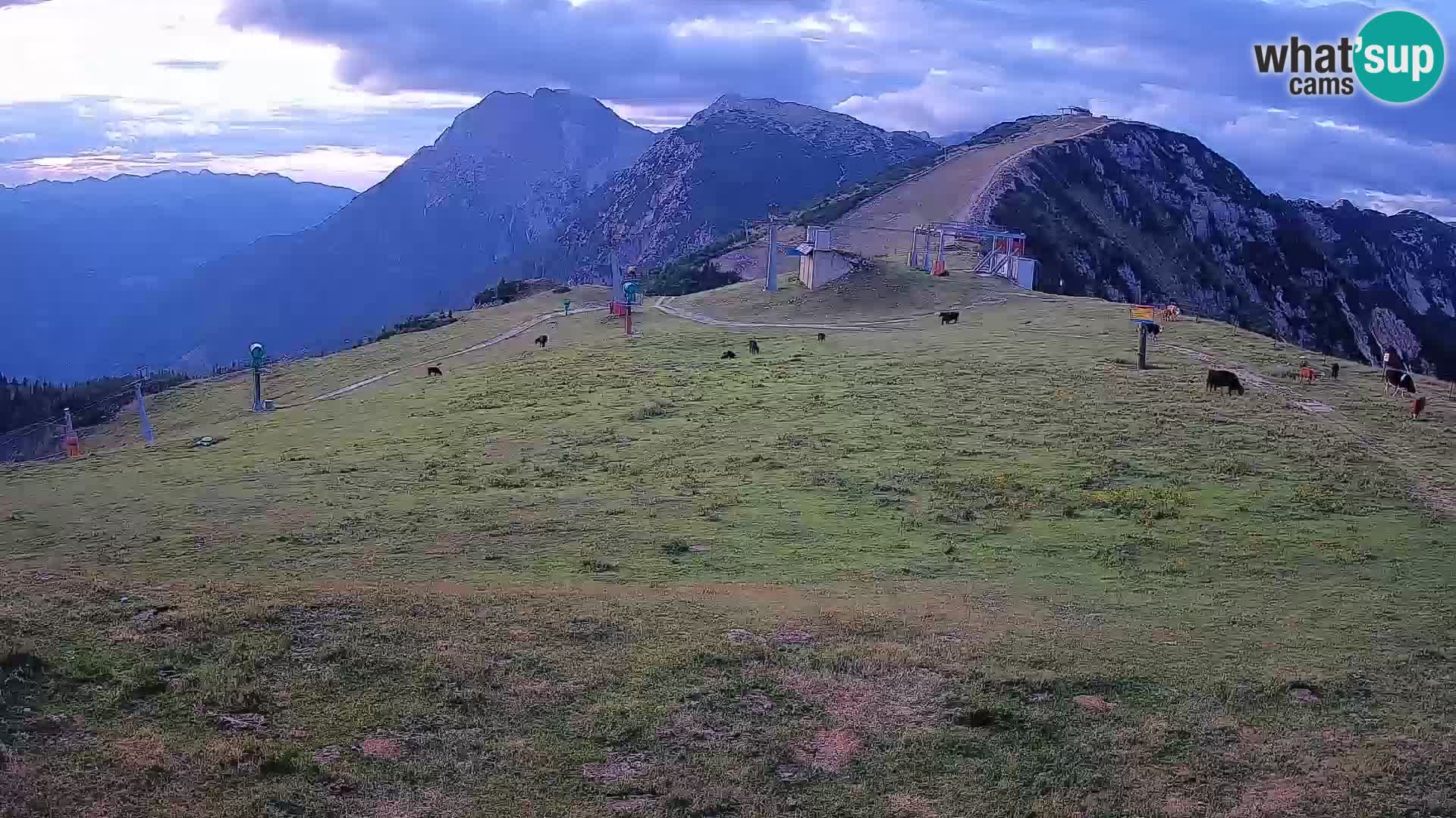 Krvavec livecam