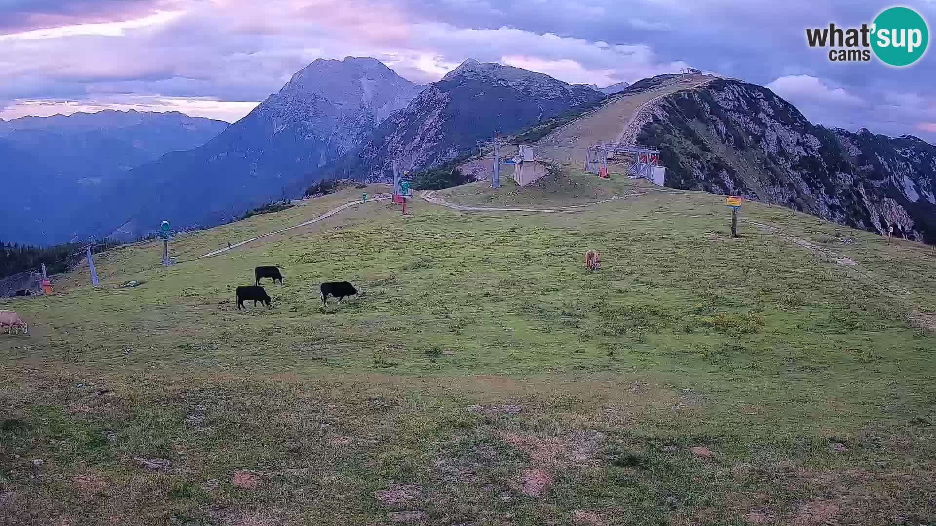 Krvavec livecam