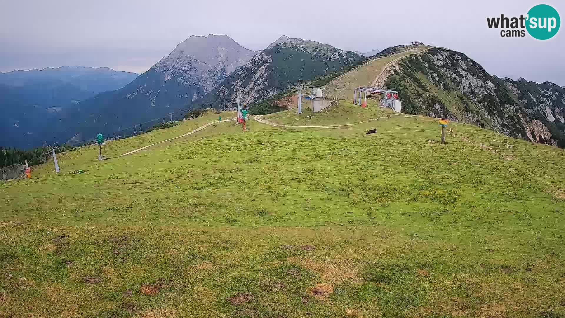 Krvavec livecam
