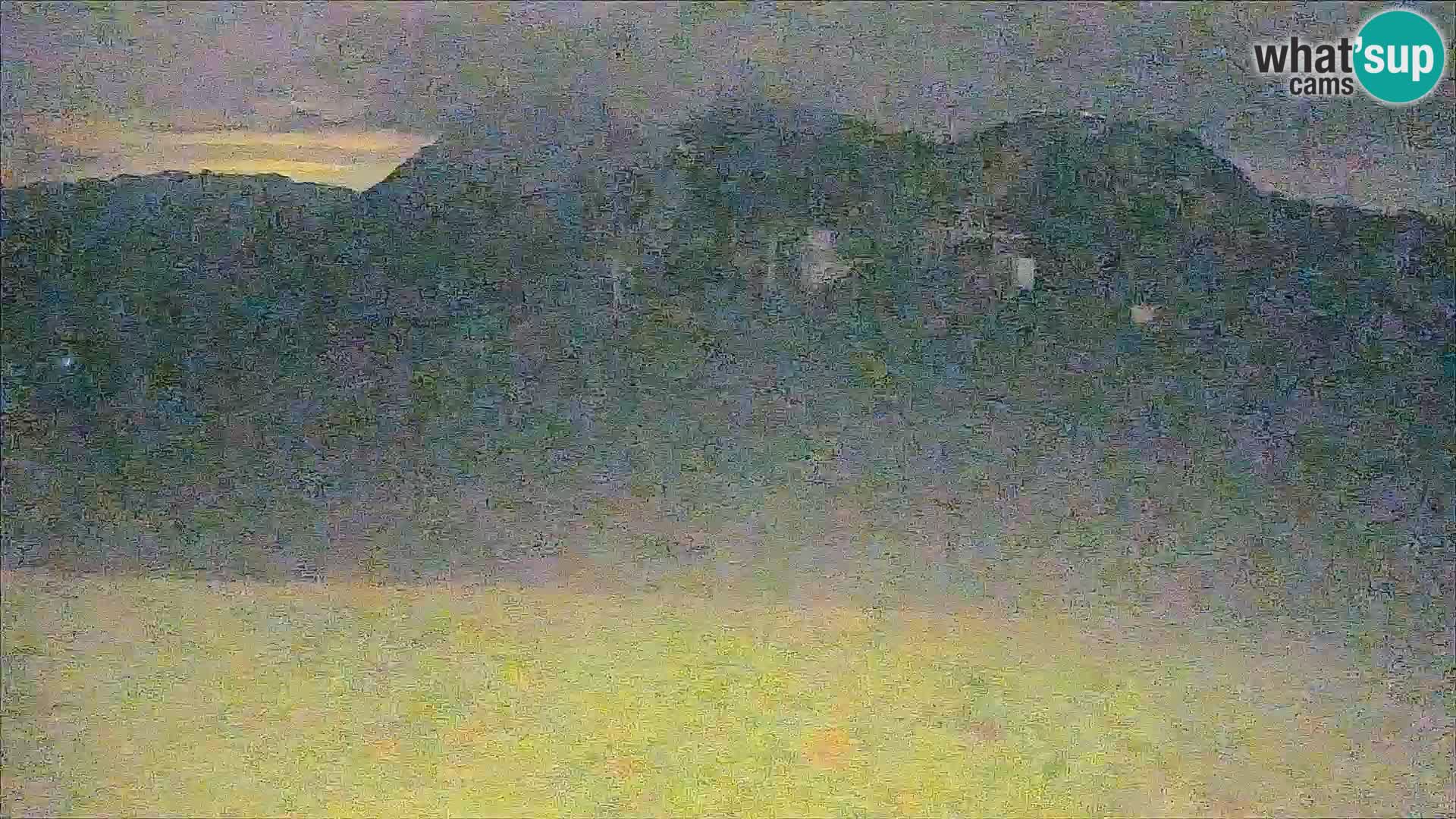 Krvavec livecam