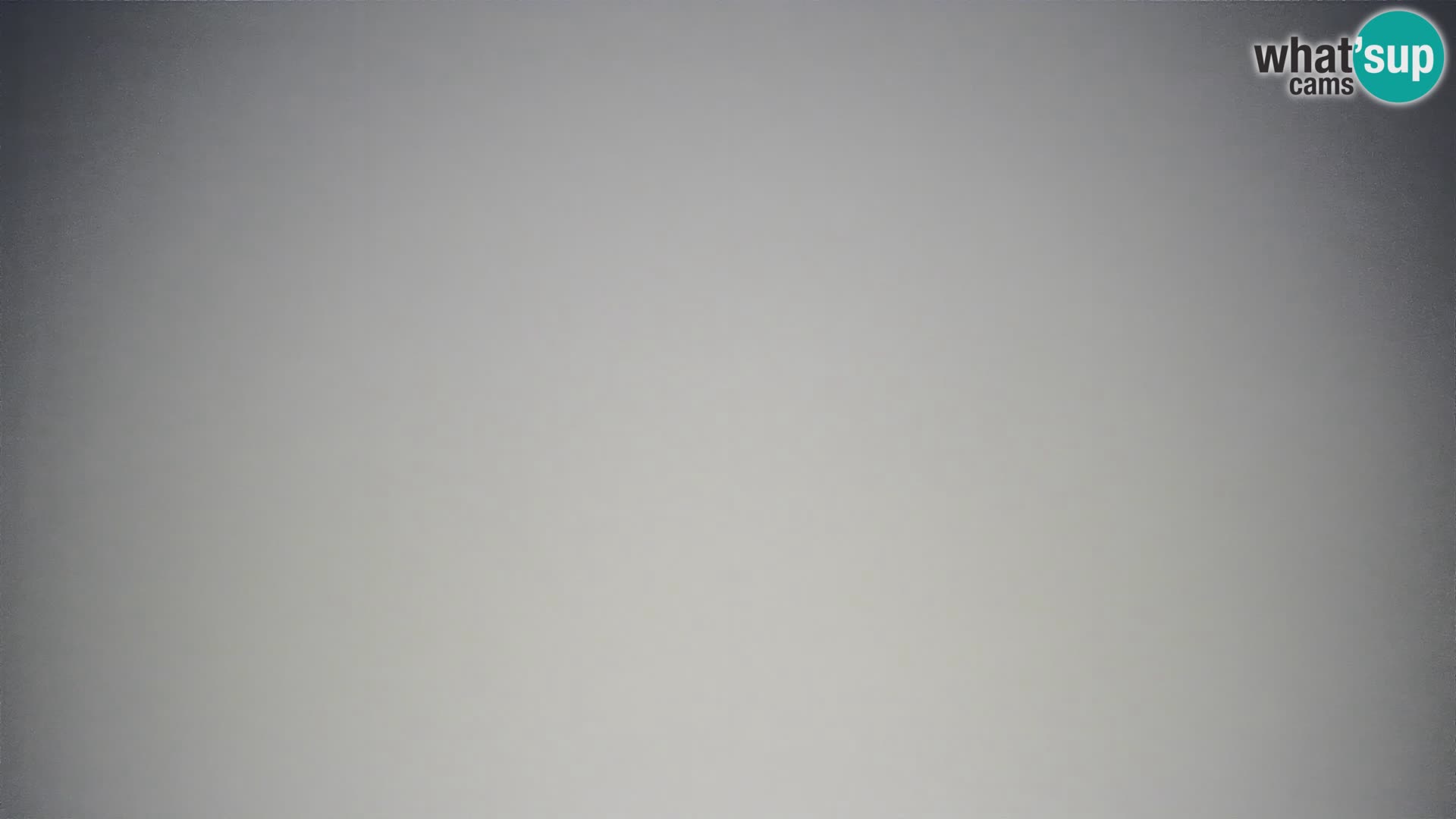Krvavec livecam