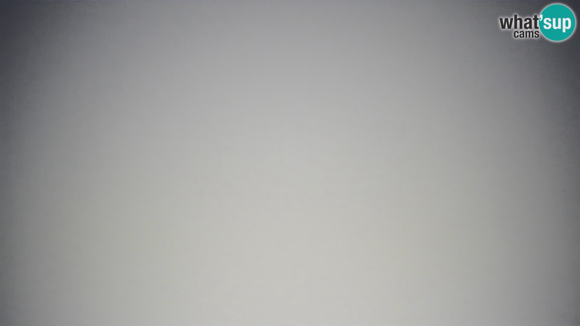 Krvavec livecam
