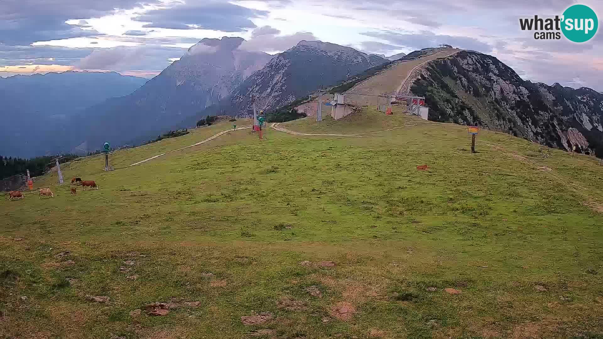Krvavec livecam