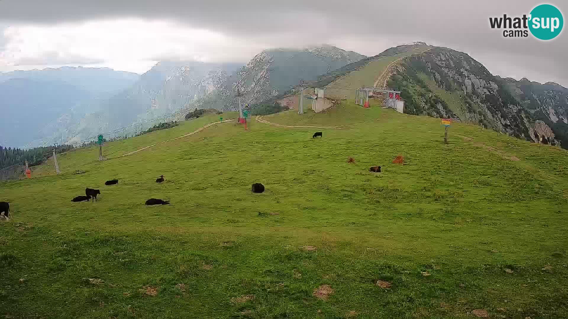 webcam Krvavec – top of the mountain