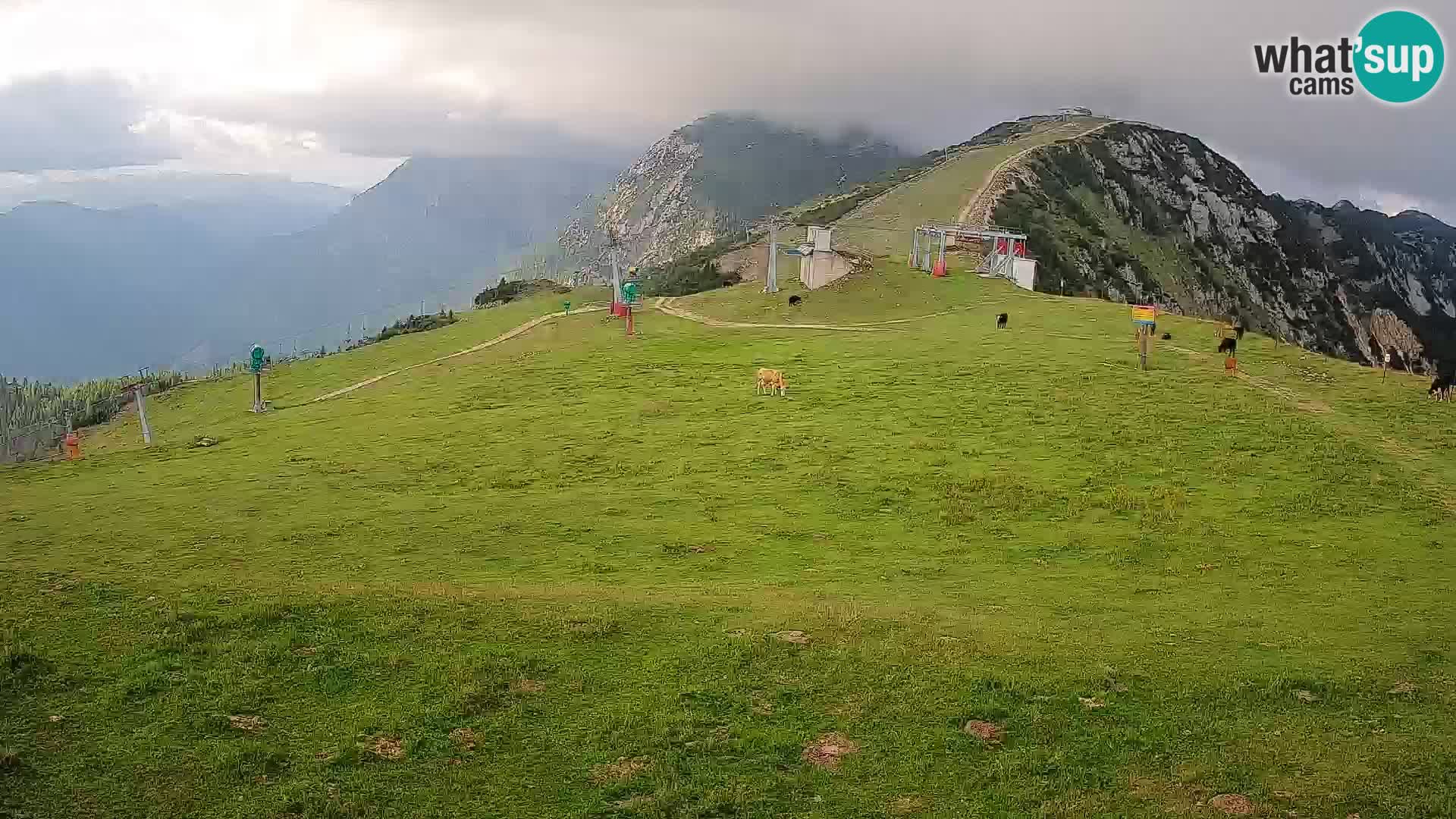 Krvavec livecam