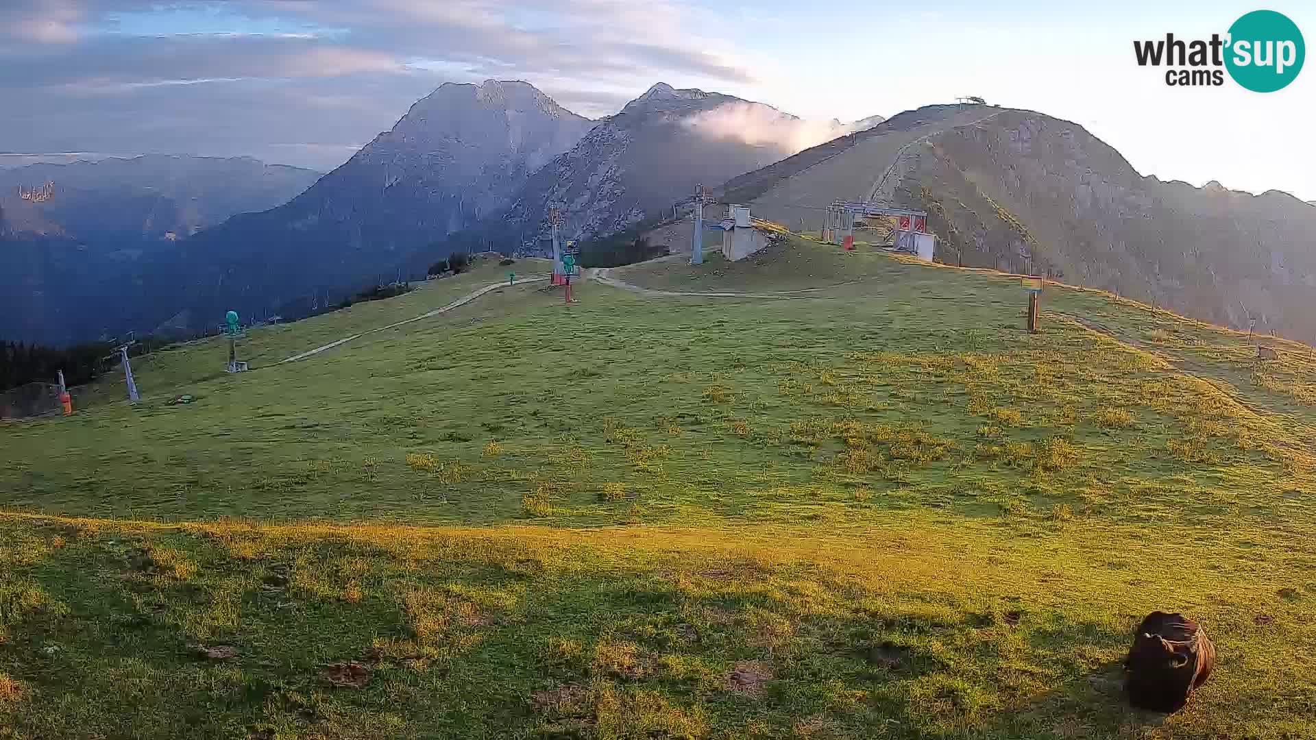 Krvavec livecam