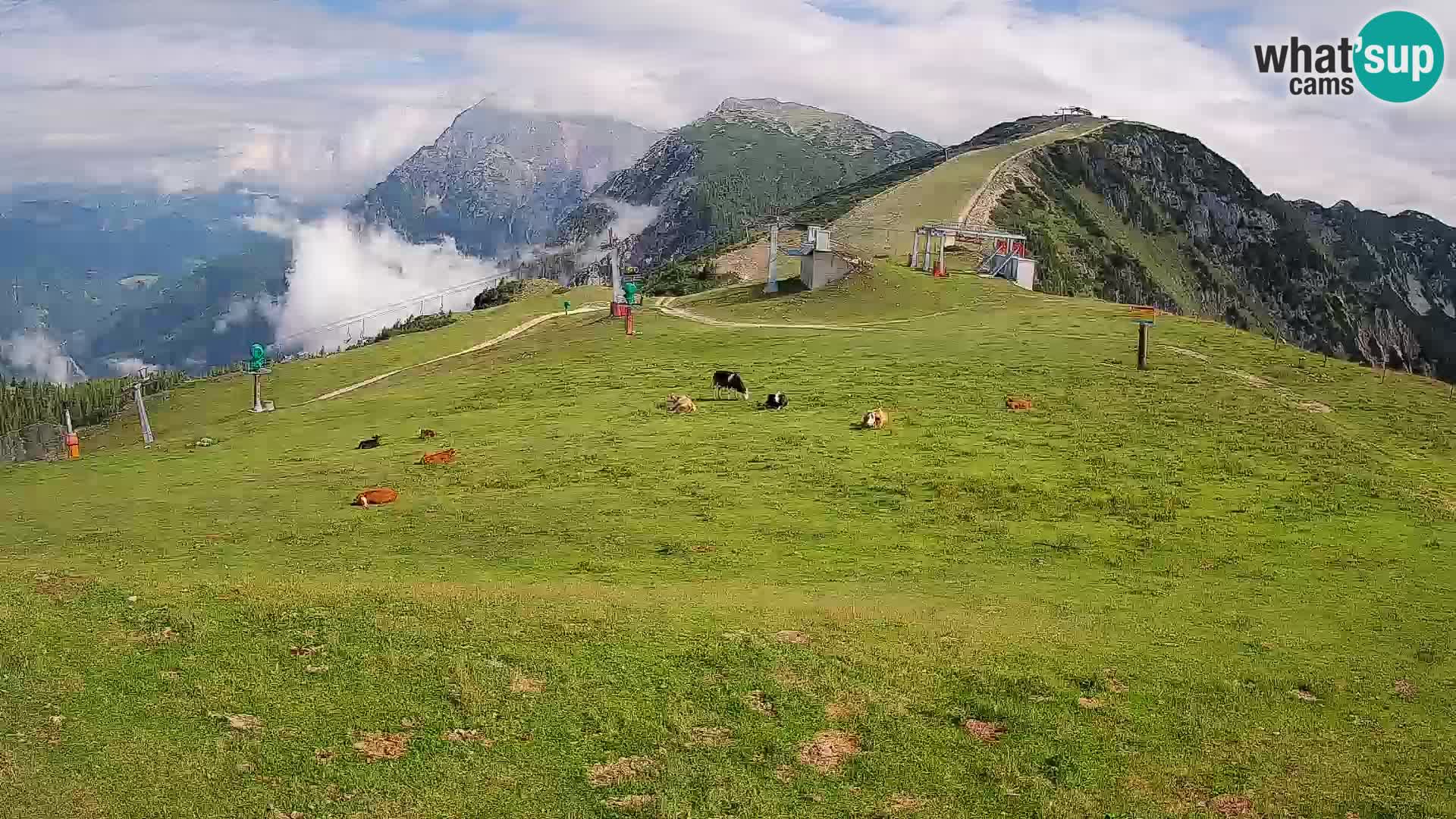 Krvavec livecam