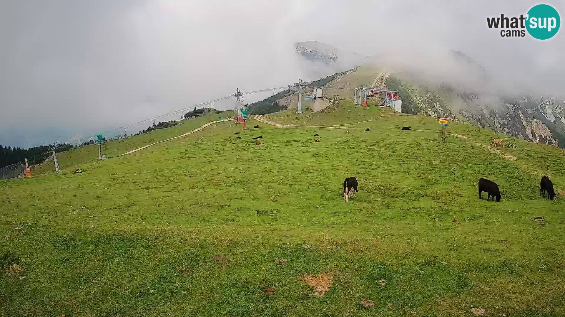 webcam Krvavec – top of the mountain
