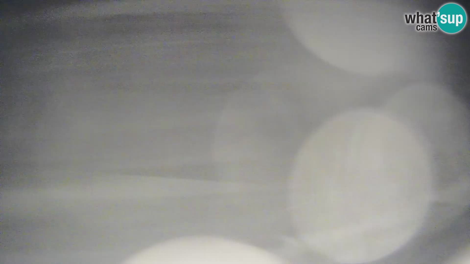 Krvavec livecam