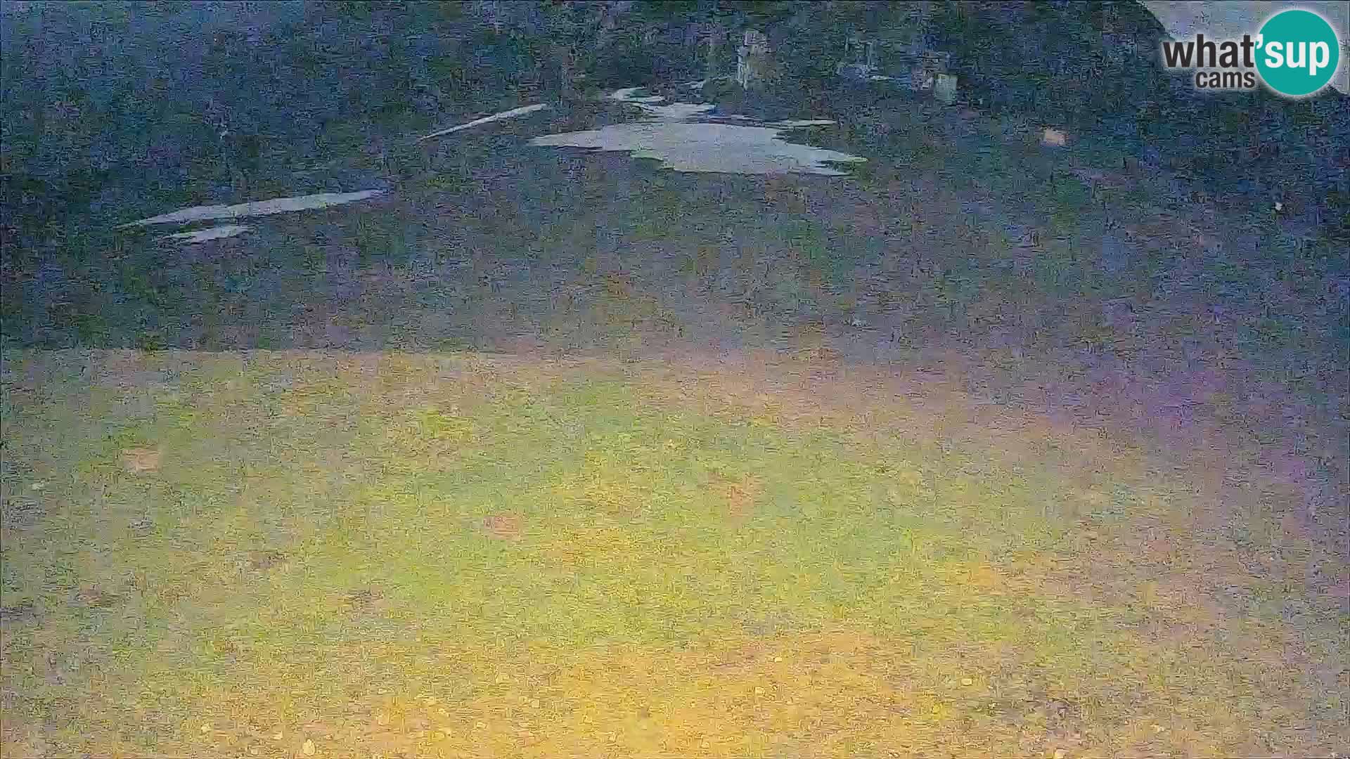 Krvavec livecam