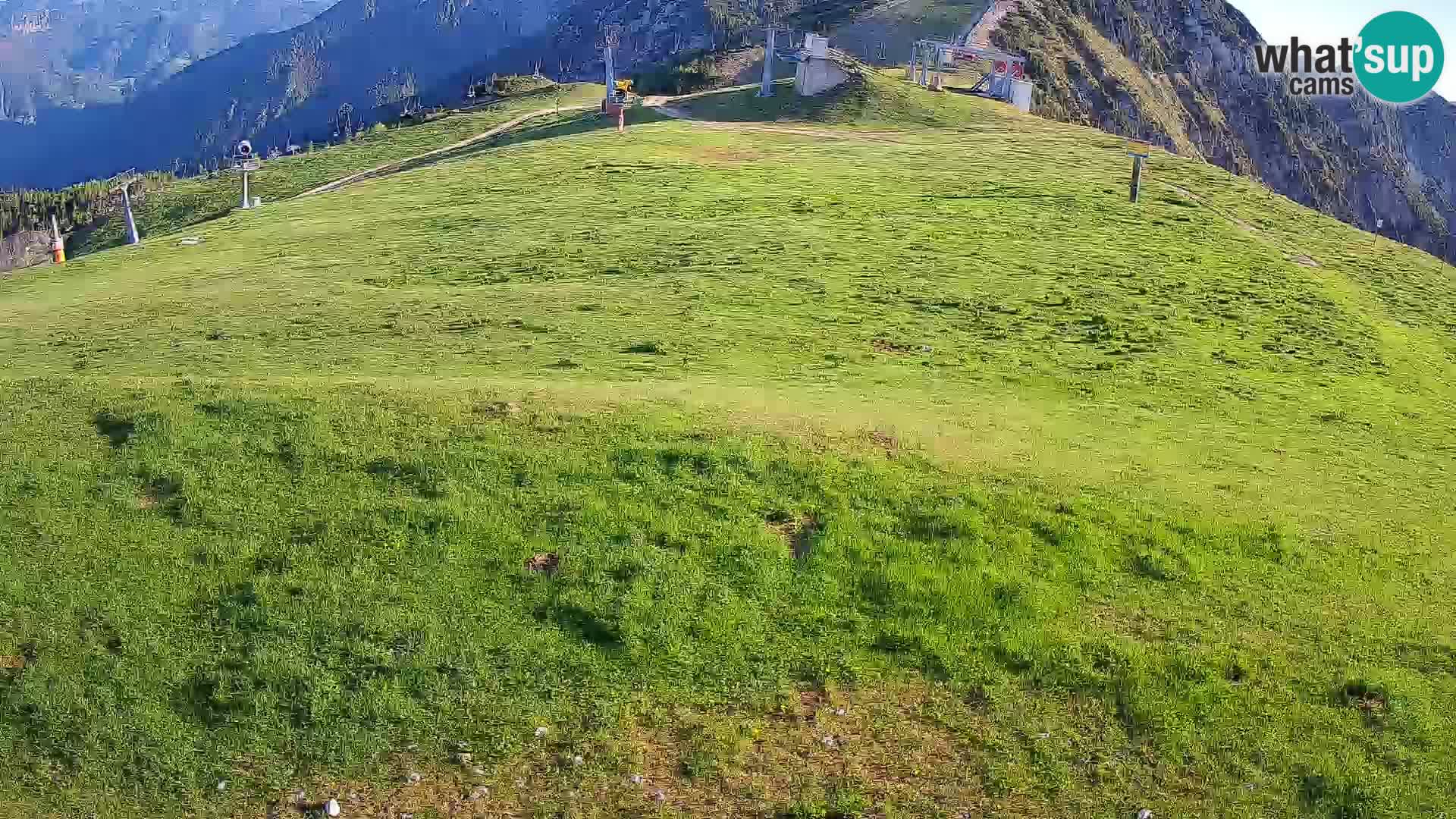 Krvavec livecam