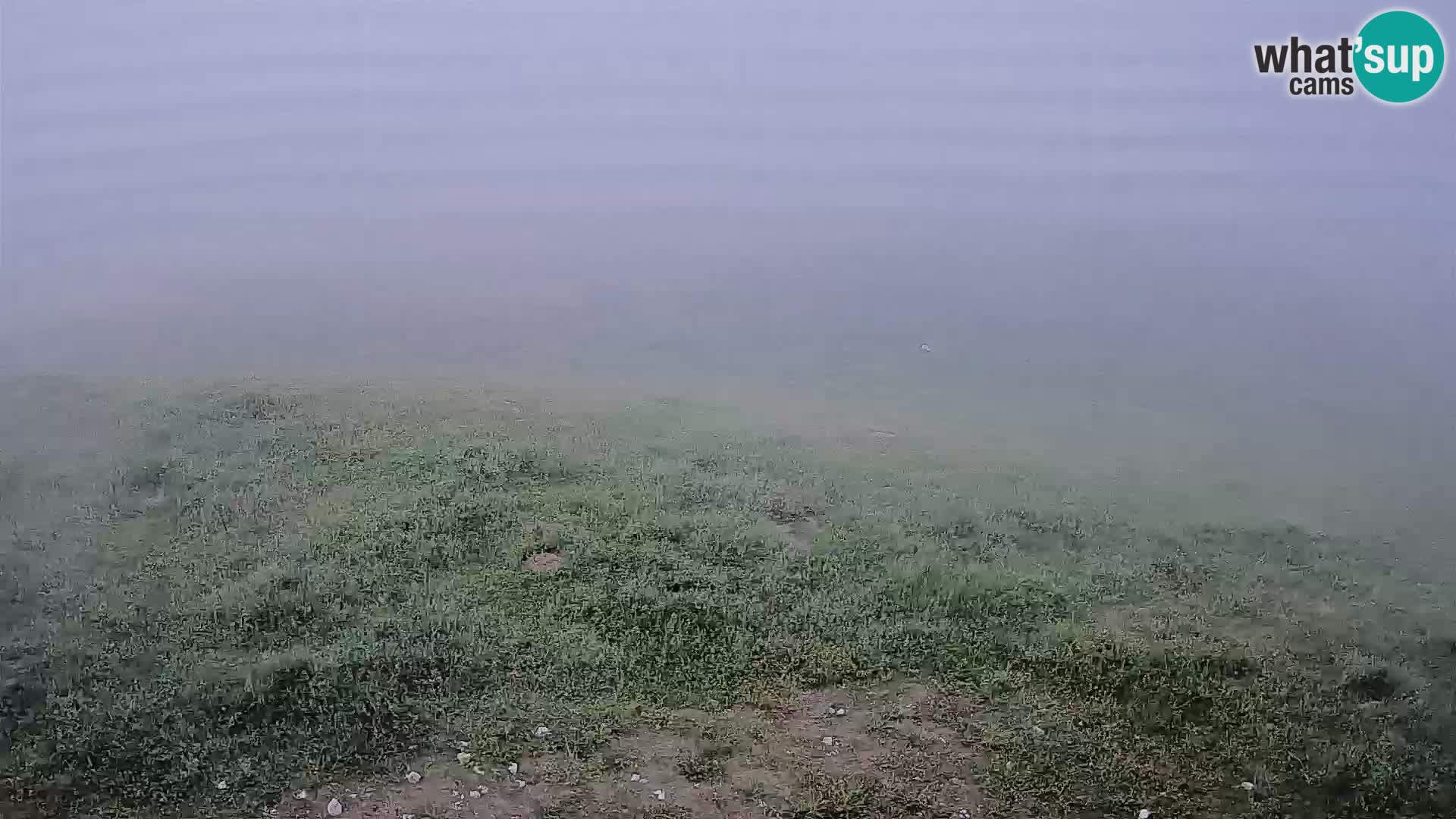 webcam Krvavec – top of the mountain