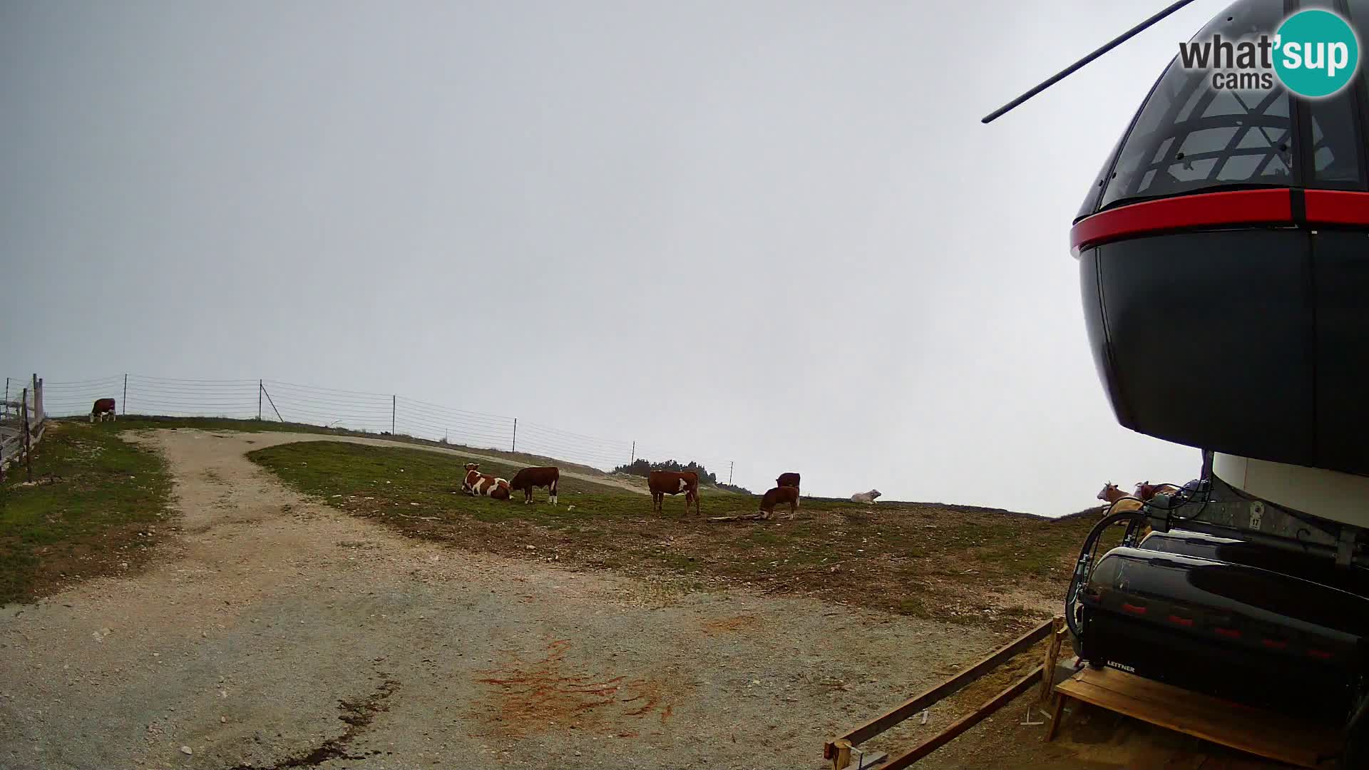 Webcam Skigebiet Krvavec – Veliki Zvoh  – 1971m – Slowenien