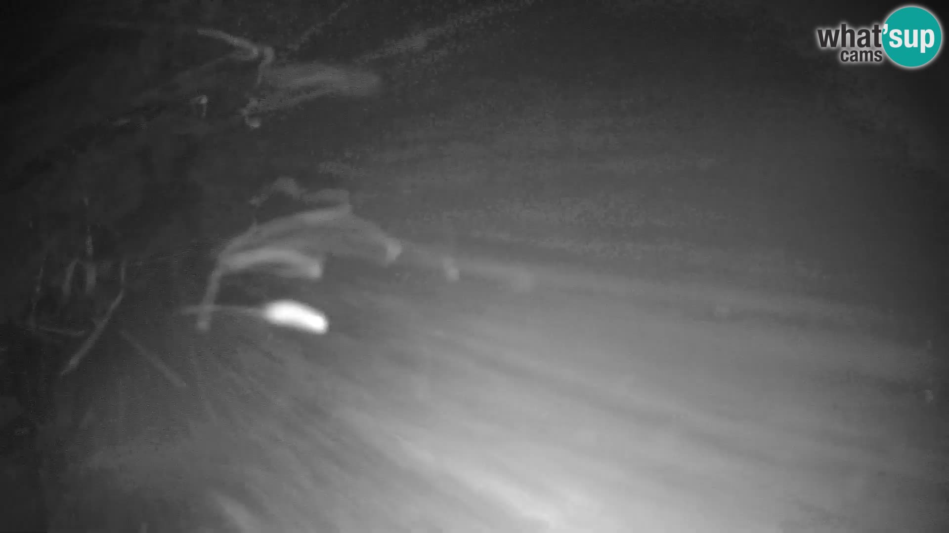 Camera en vivo Estacion esqui Krvavec – Veliki Zvoh  – 1971m – Eslovenia