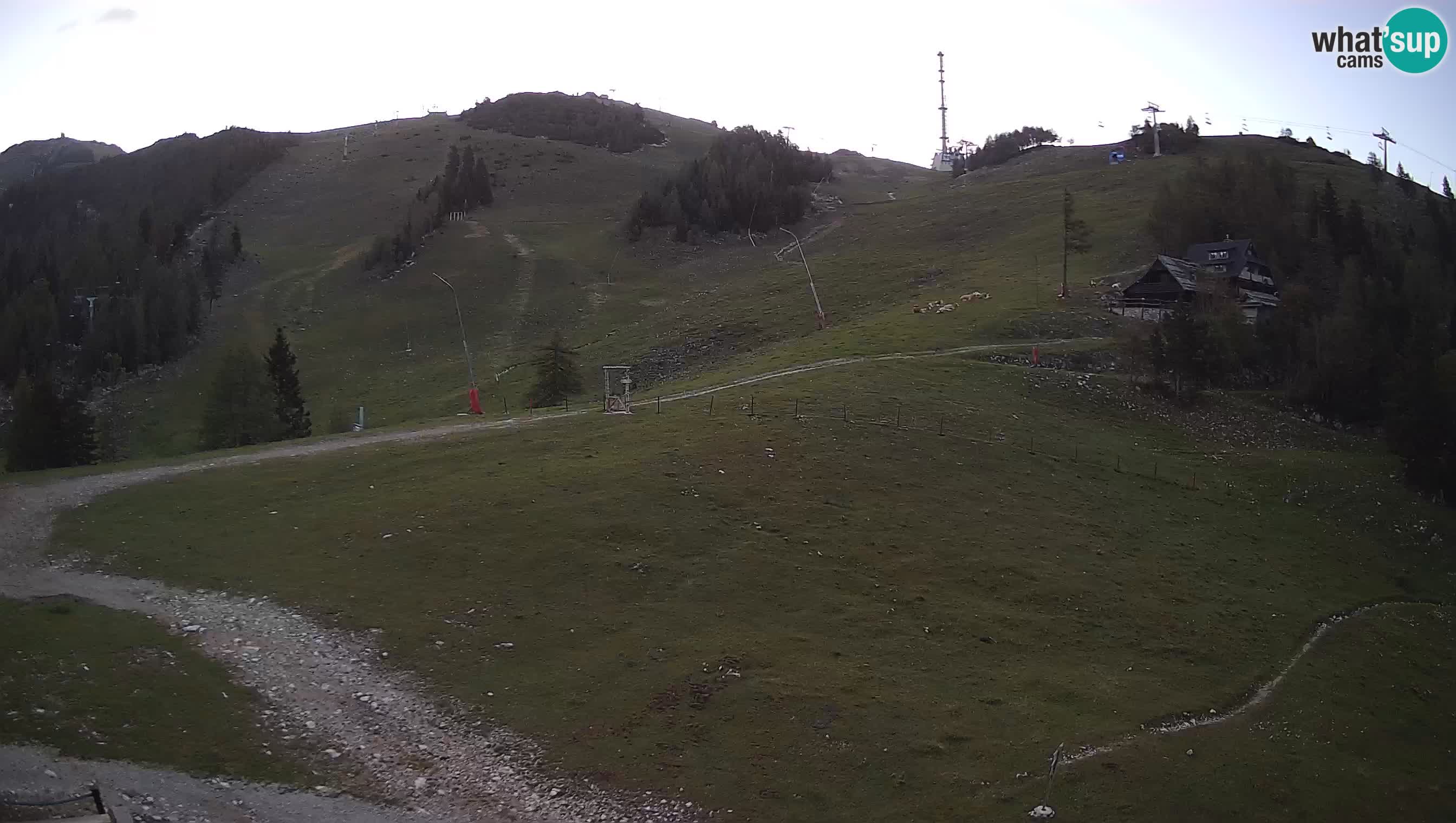 Krvavec webcam motorisiert – Skigebiet