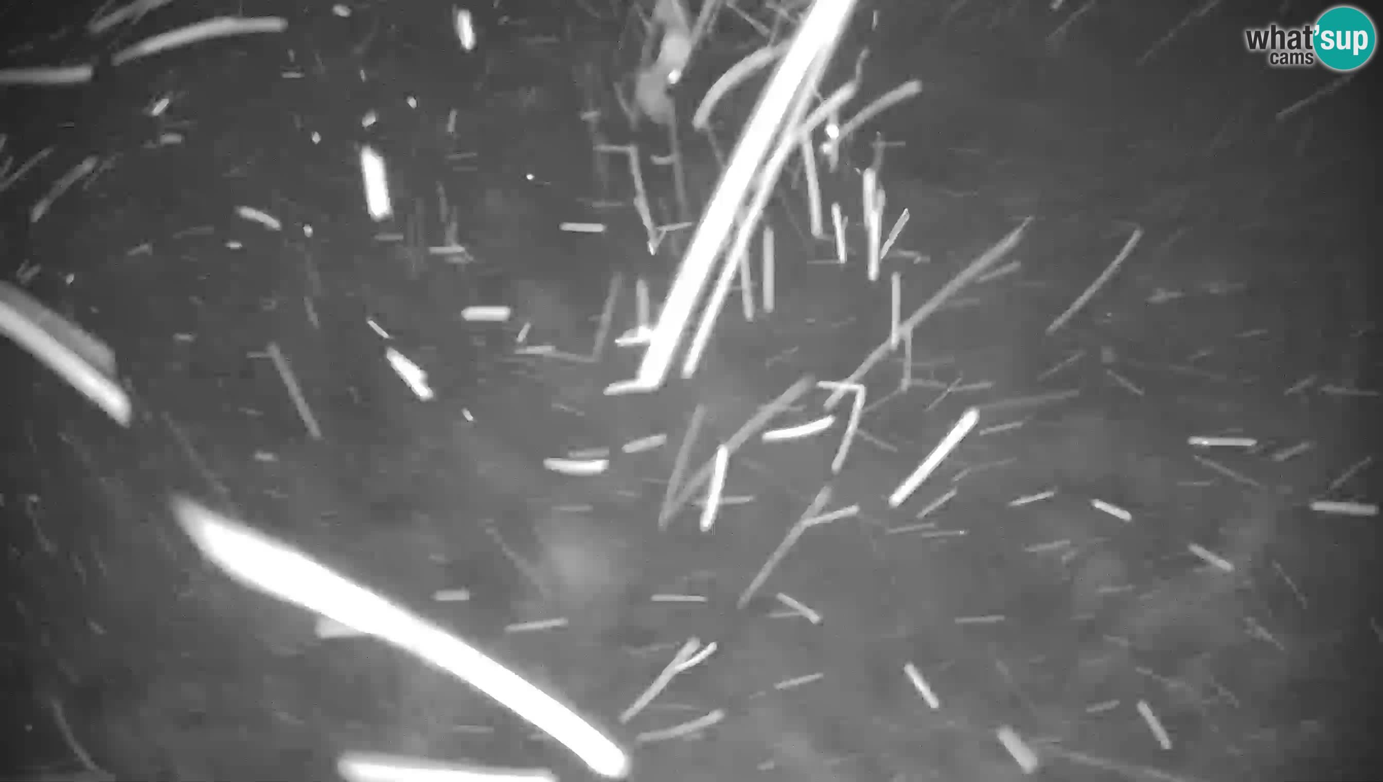 Krvavec camera en vivo – Ski resort