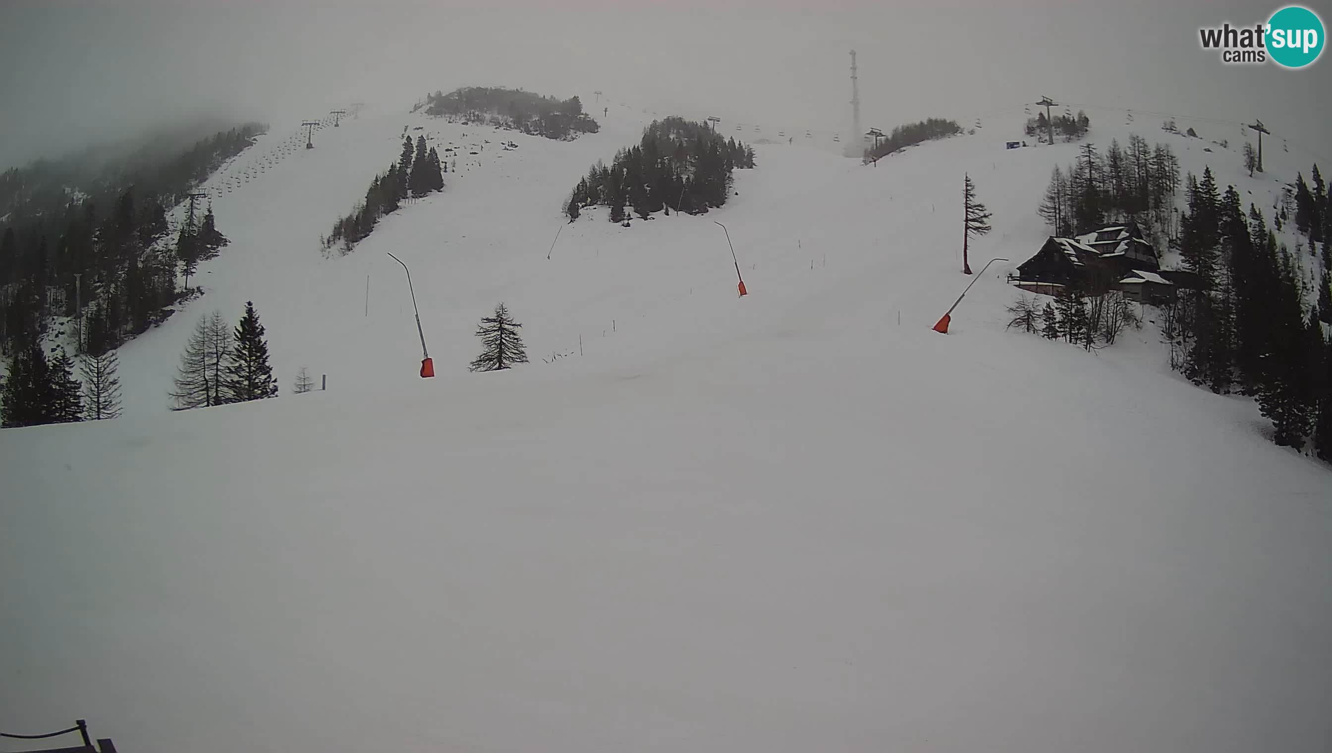 Krvavec webcam motorisiert – Skigebiet